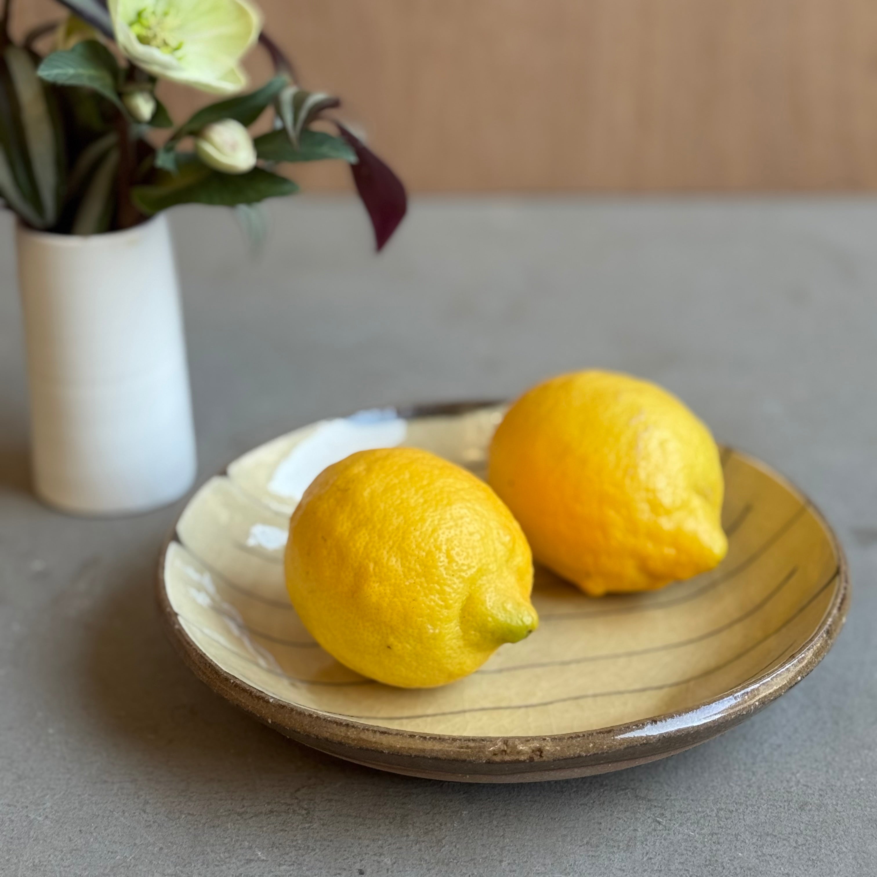 齊藤十郎/ スリップウェア ６寸皿(ボーダー)