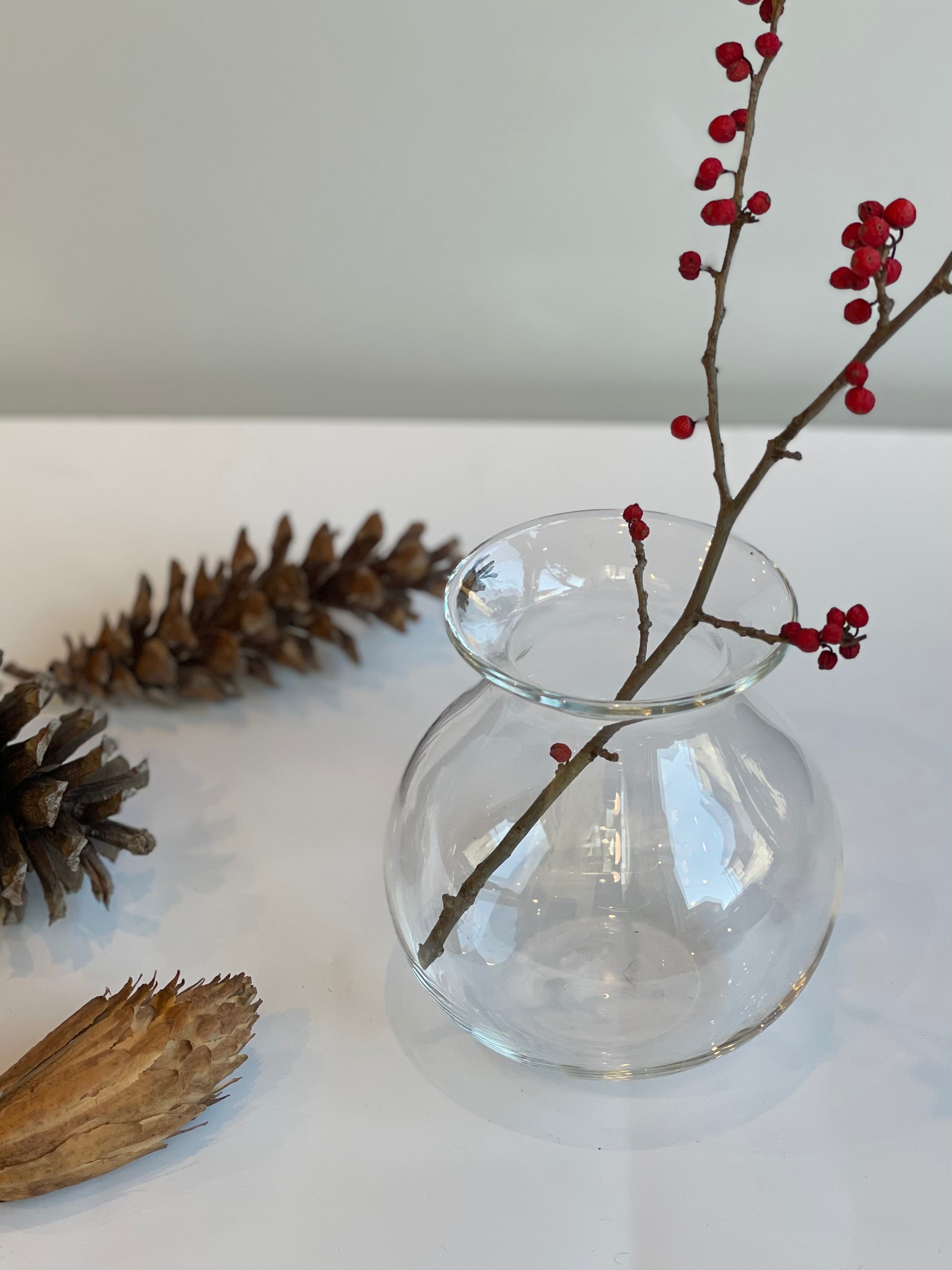 ヒヤシンスポット5