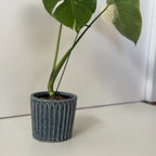 齊藤十郎/ しのぎ植木鉢