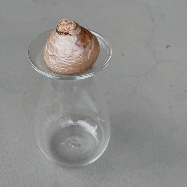 さこうゆうこ / ヒヤシンスポット/ しずく型2