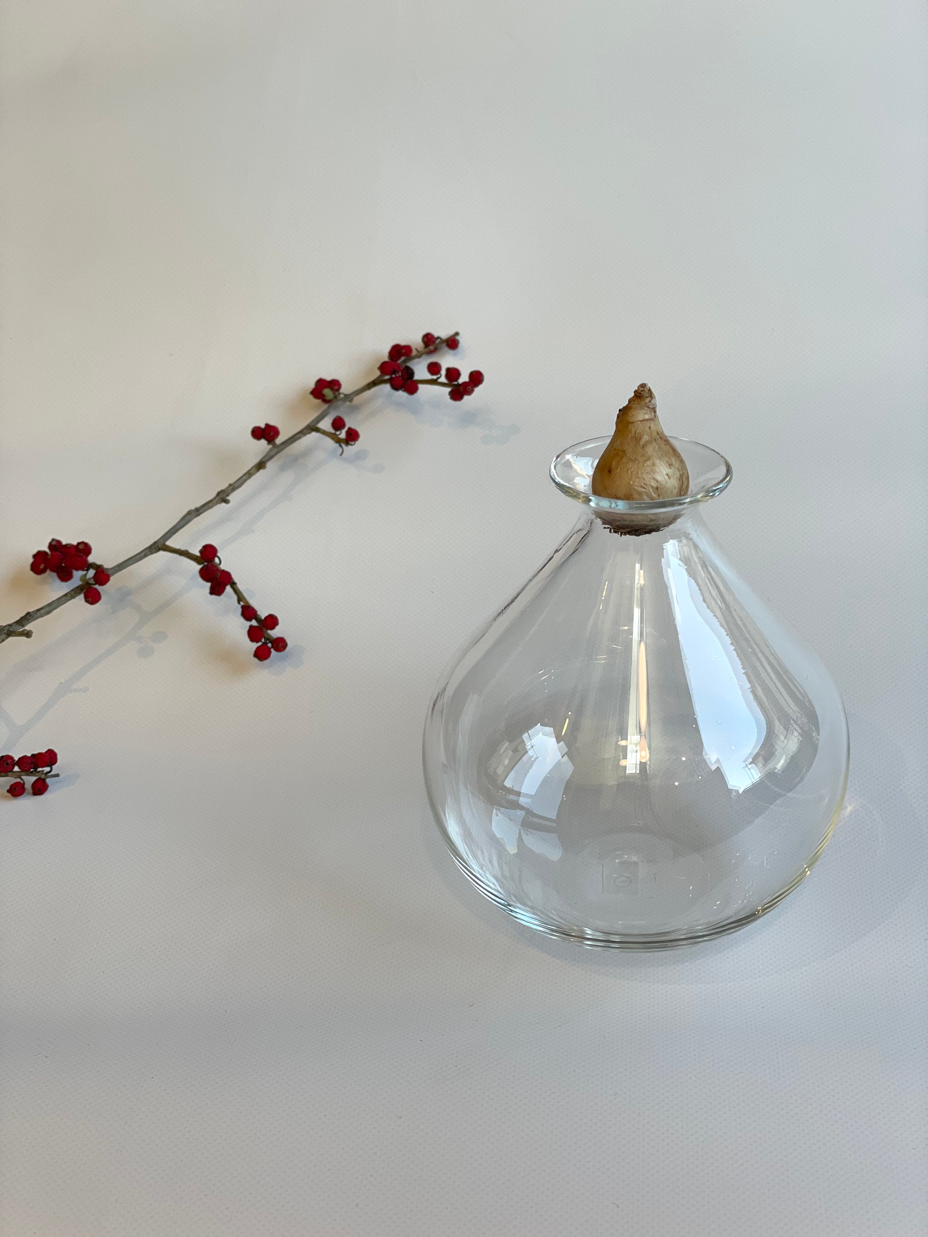 ムスカリポット1