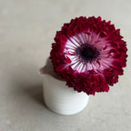 齋藤十郎 白磁片口