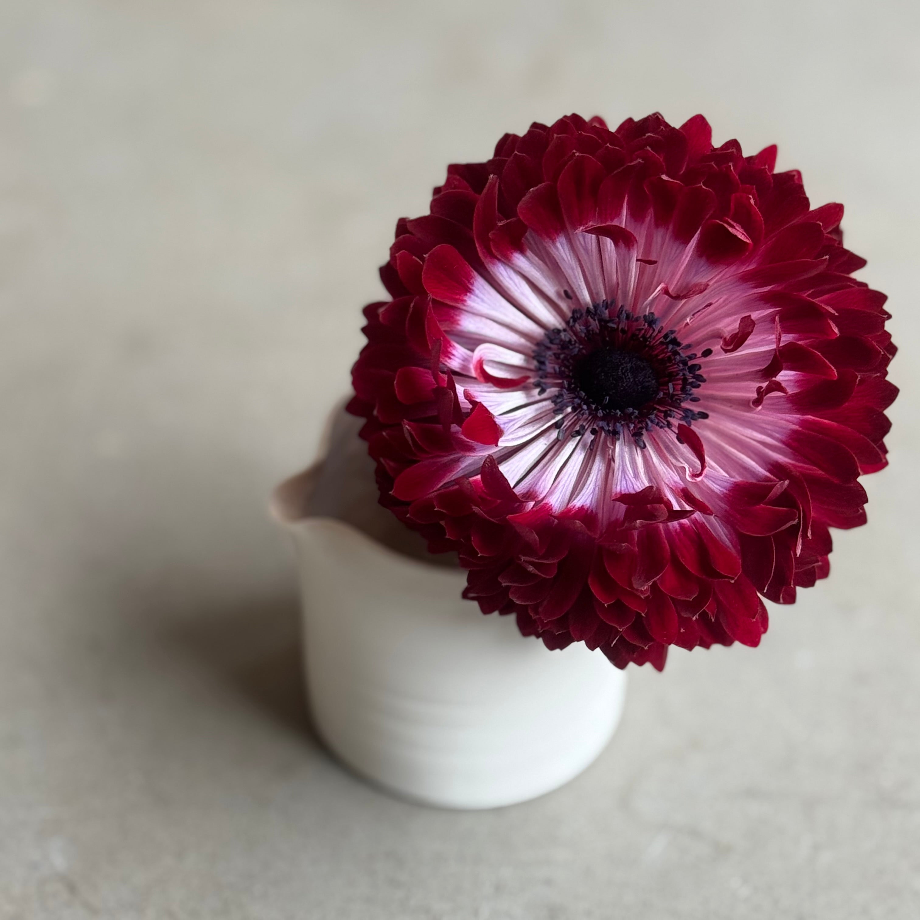 齋藤十郎 白磁片口