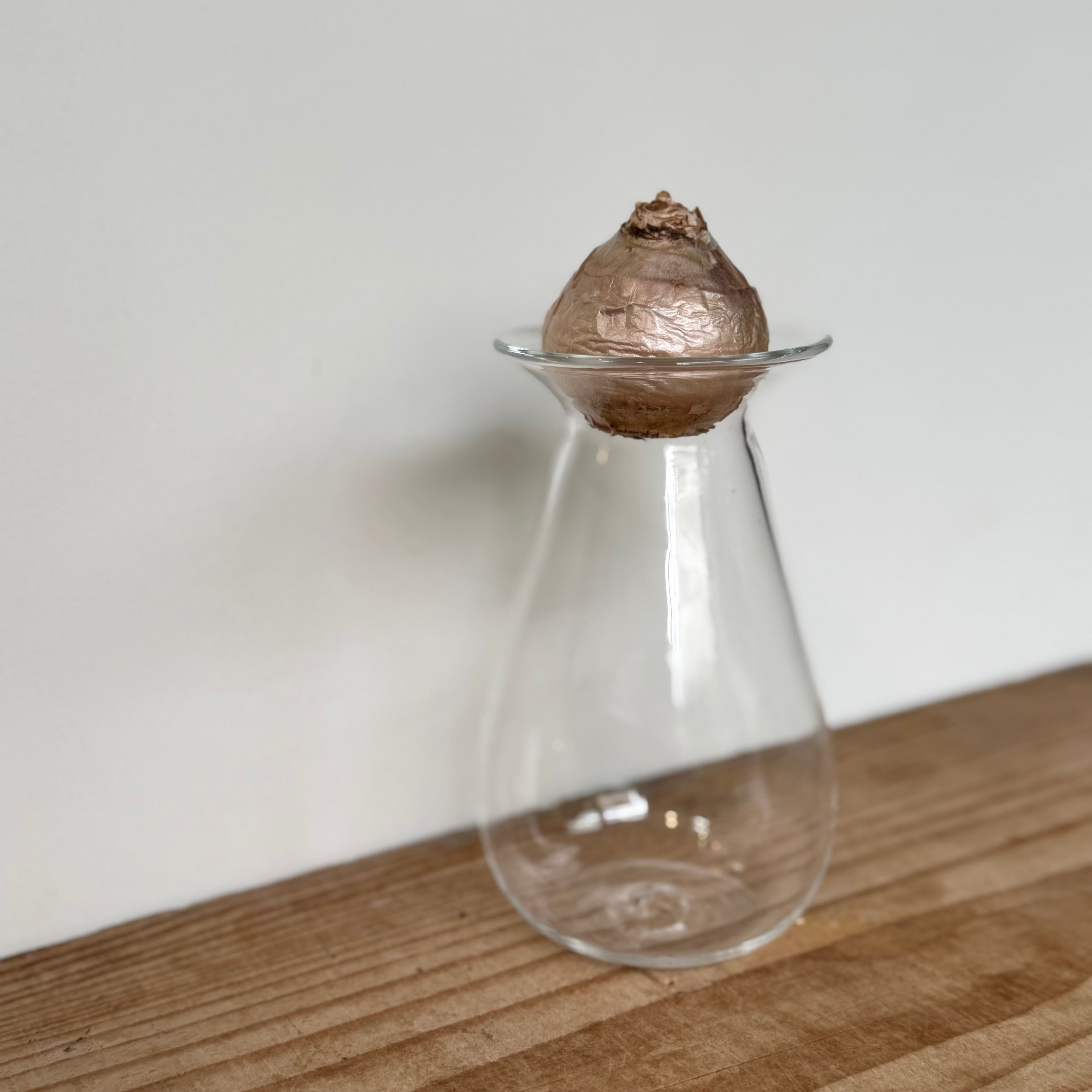 さこうゆうこ / ヒヤシンスポット/ しずく型2