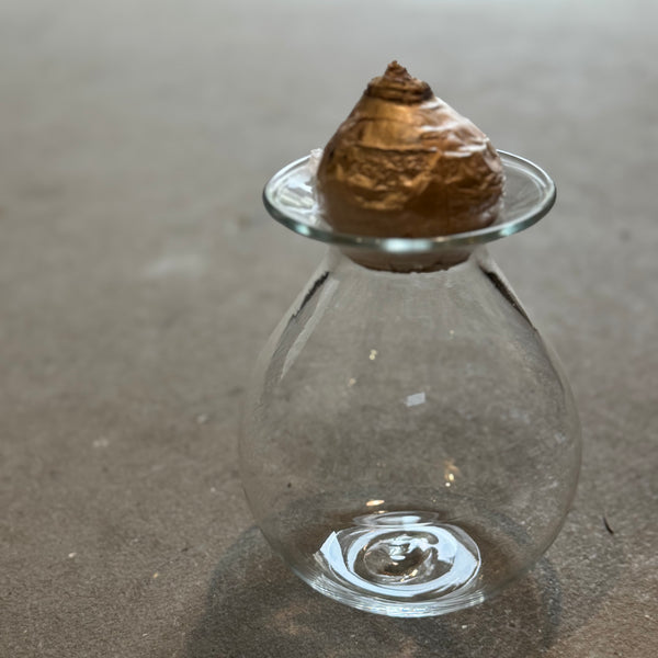 さこうゆうこ / ヒヤシンスポット/ 丸型3