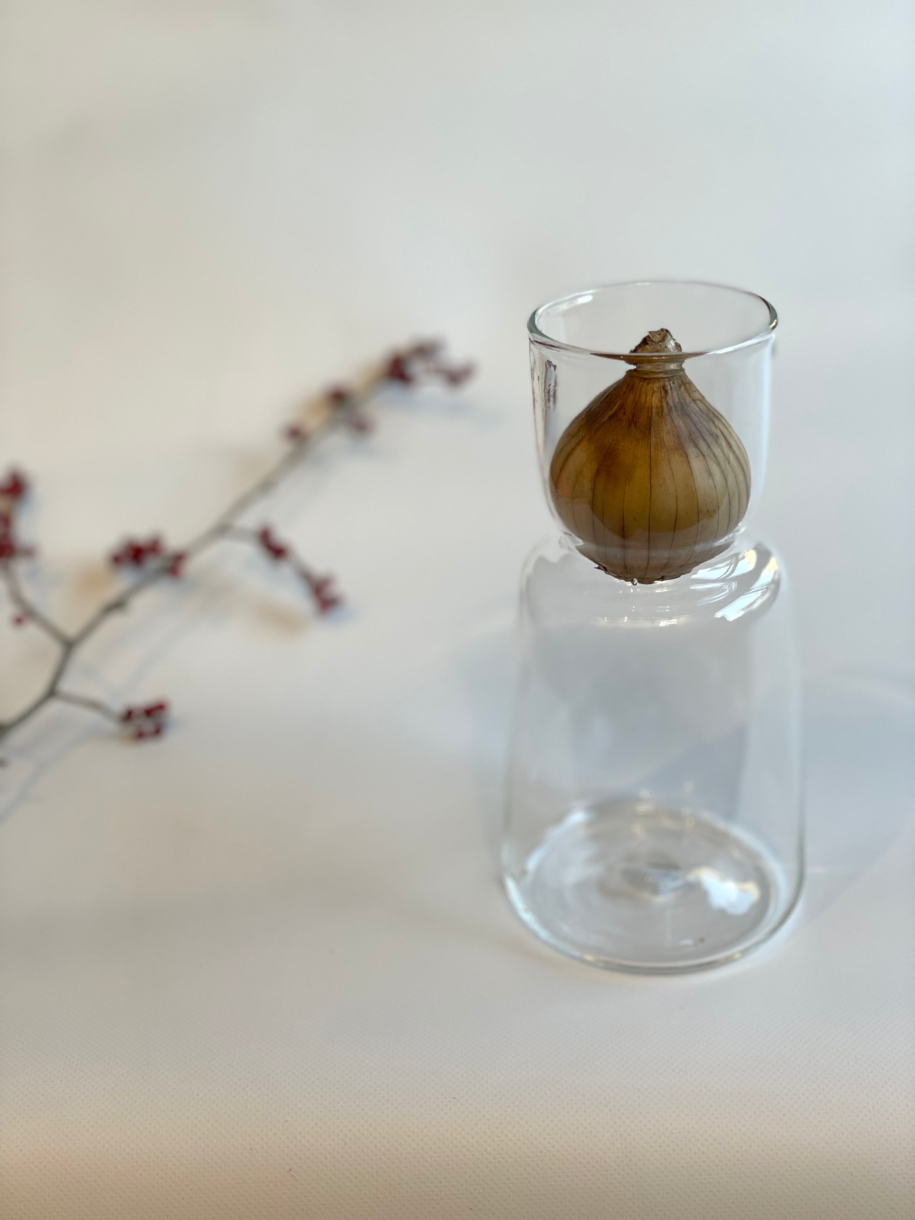 スイセンポット3