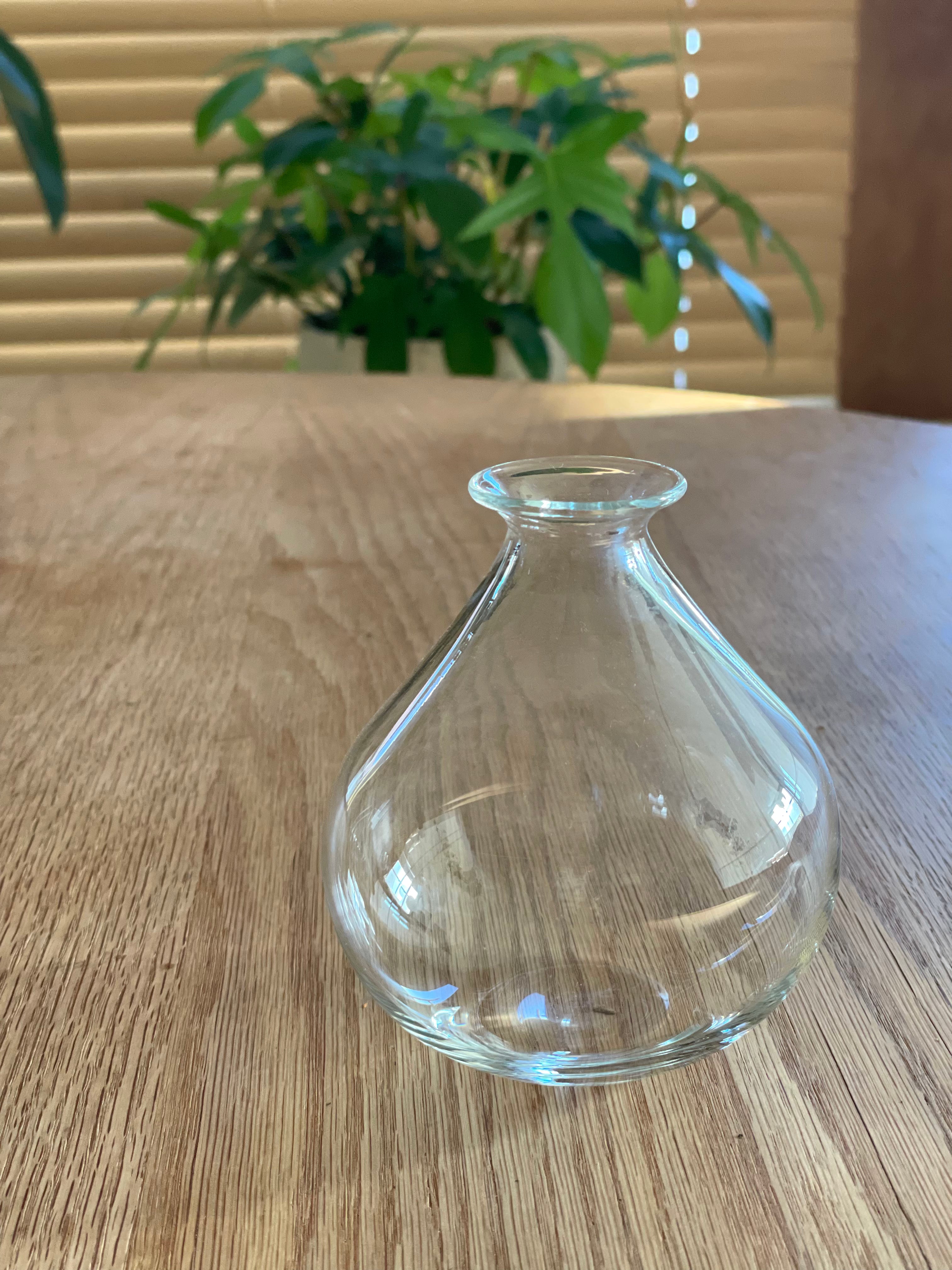 ムスカリポット1