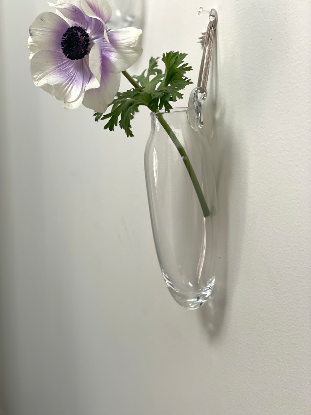 カケハナイレ(繭 / ロング)