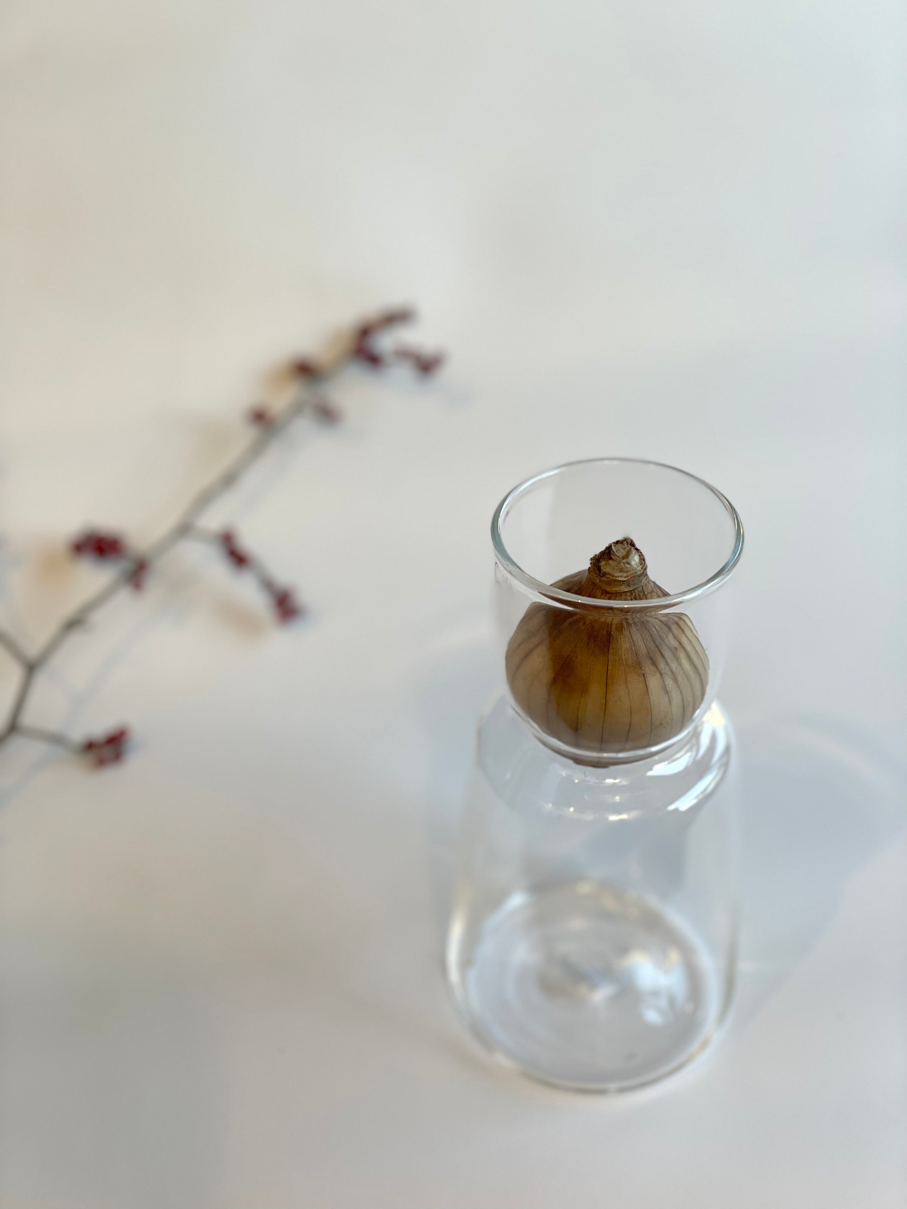 スイセンポット3