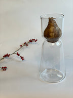 スイセンポット2