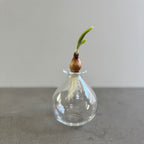 さこうゆうこ / ムスカリポット/ 丸b