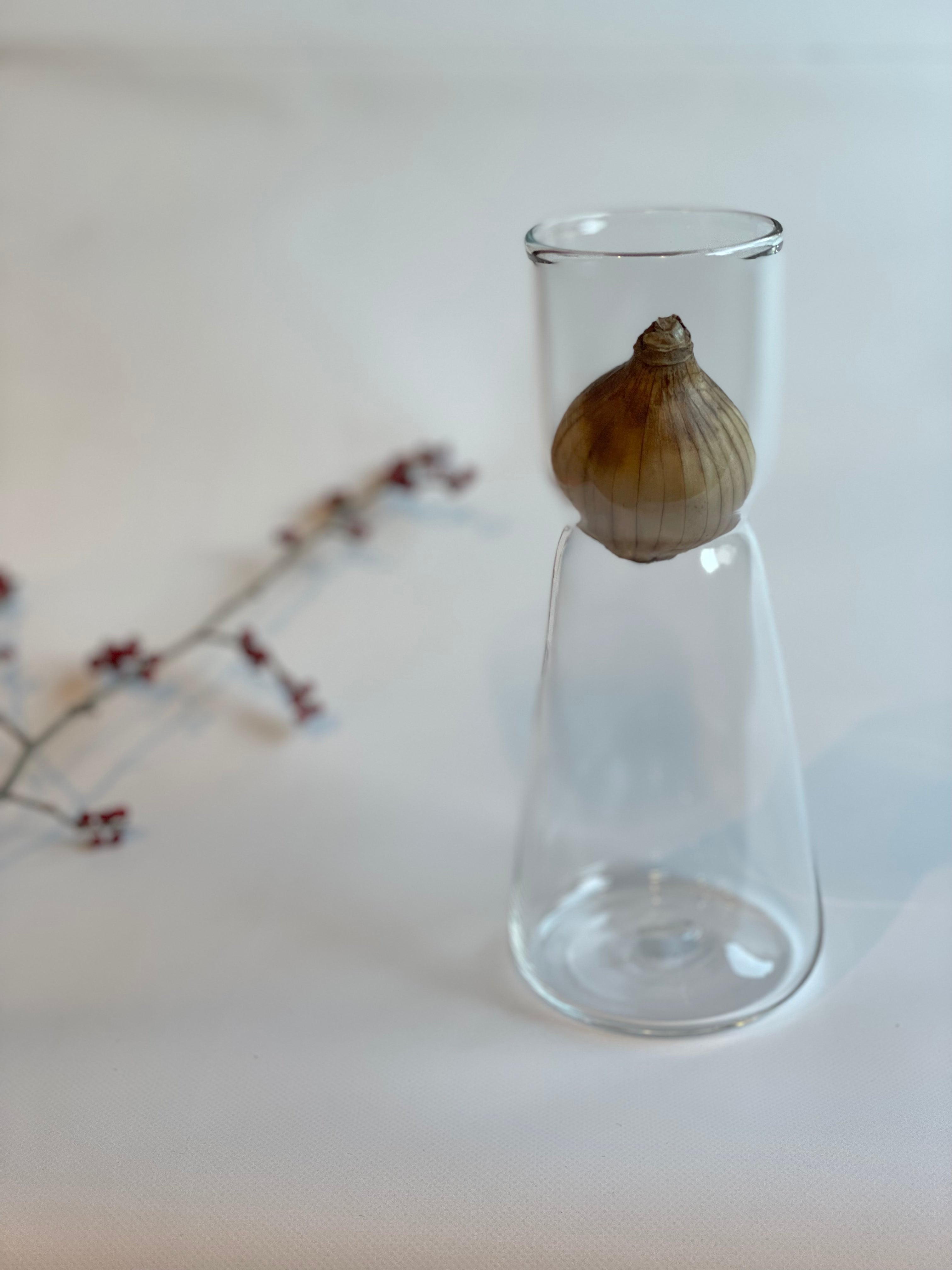 スイセンポット4す