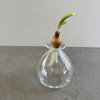 さこうゆうこ / ムスカリポット/ 丸b