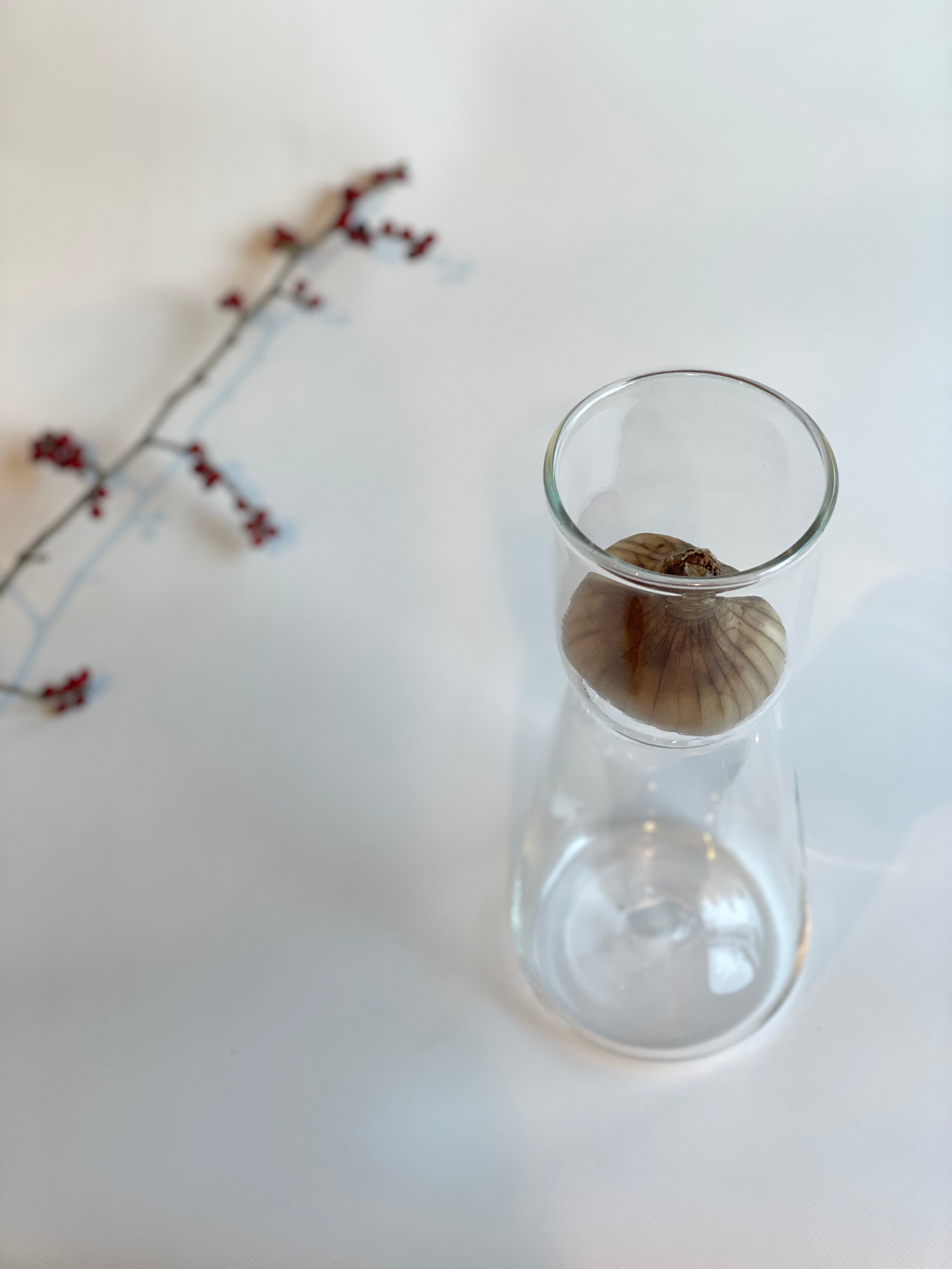 スイセンポット4す