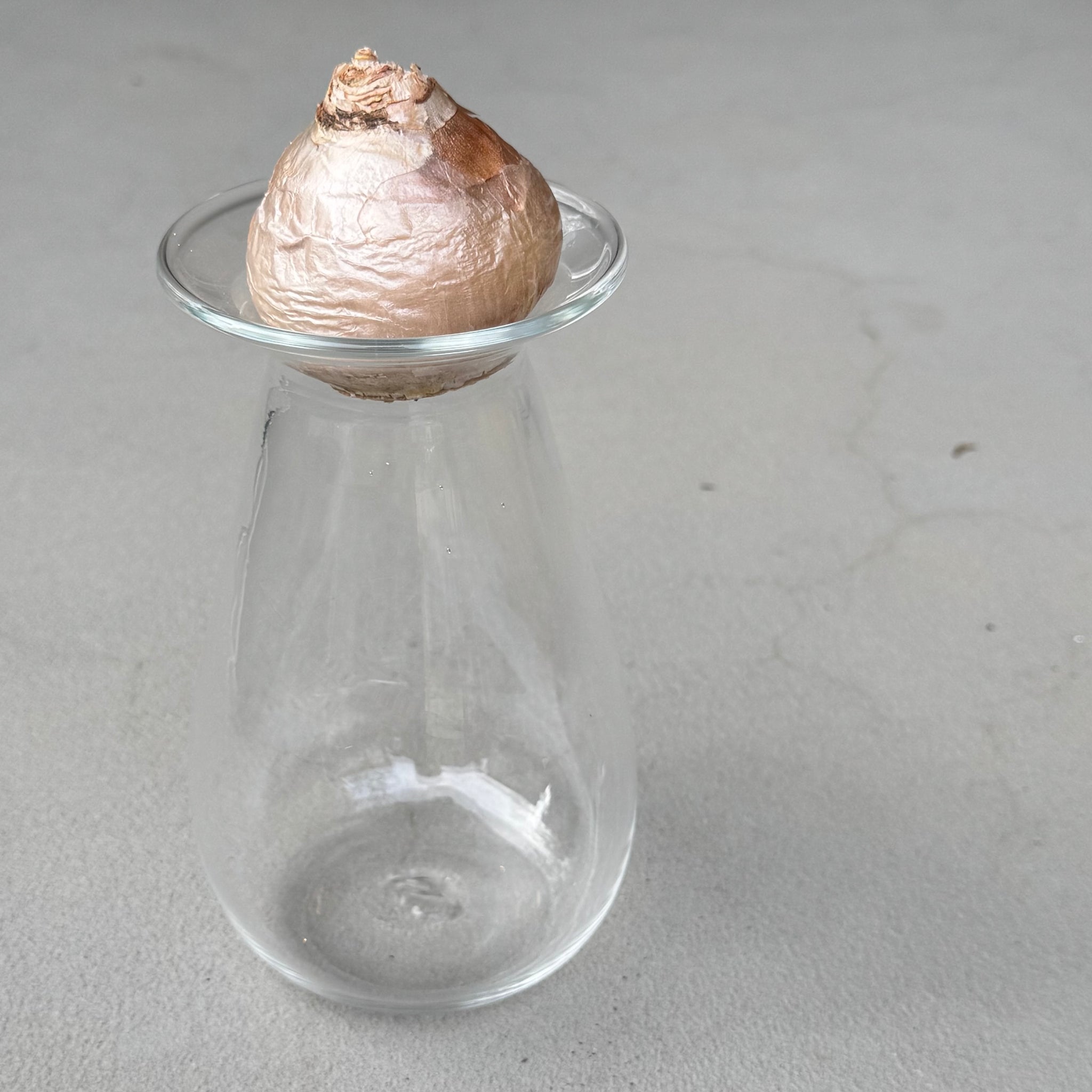 さこうゆうこ / ヒヤシンスポット/ しずく型2