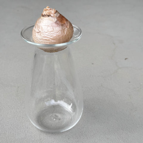 さこうゆうこ / ヒヤシンスポット/ しずく型2