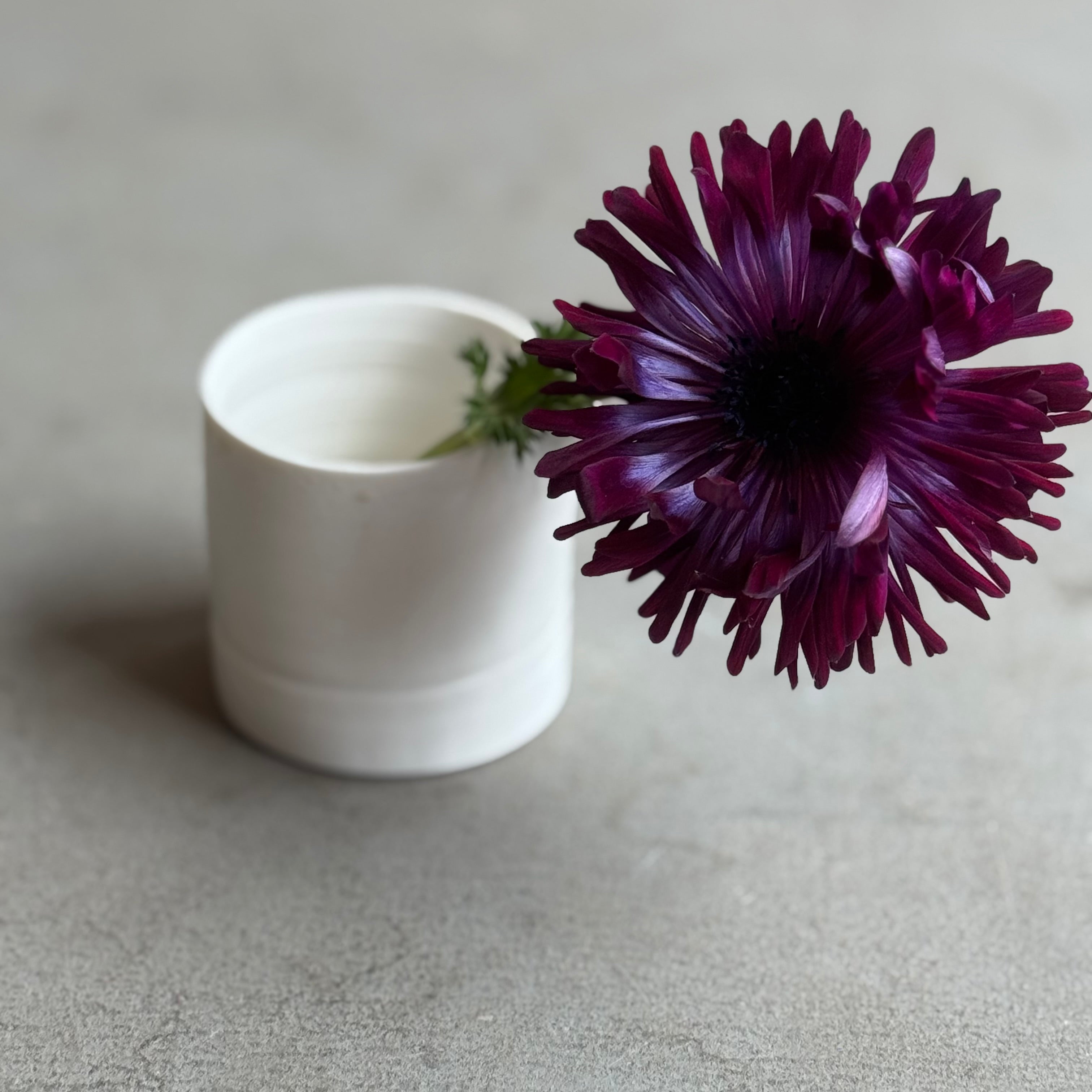 齋藤十郎 白磁片口