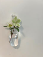 カケハナイレ(繭 / ロング)