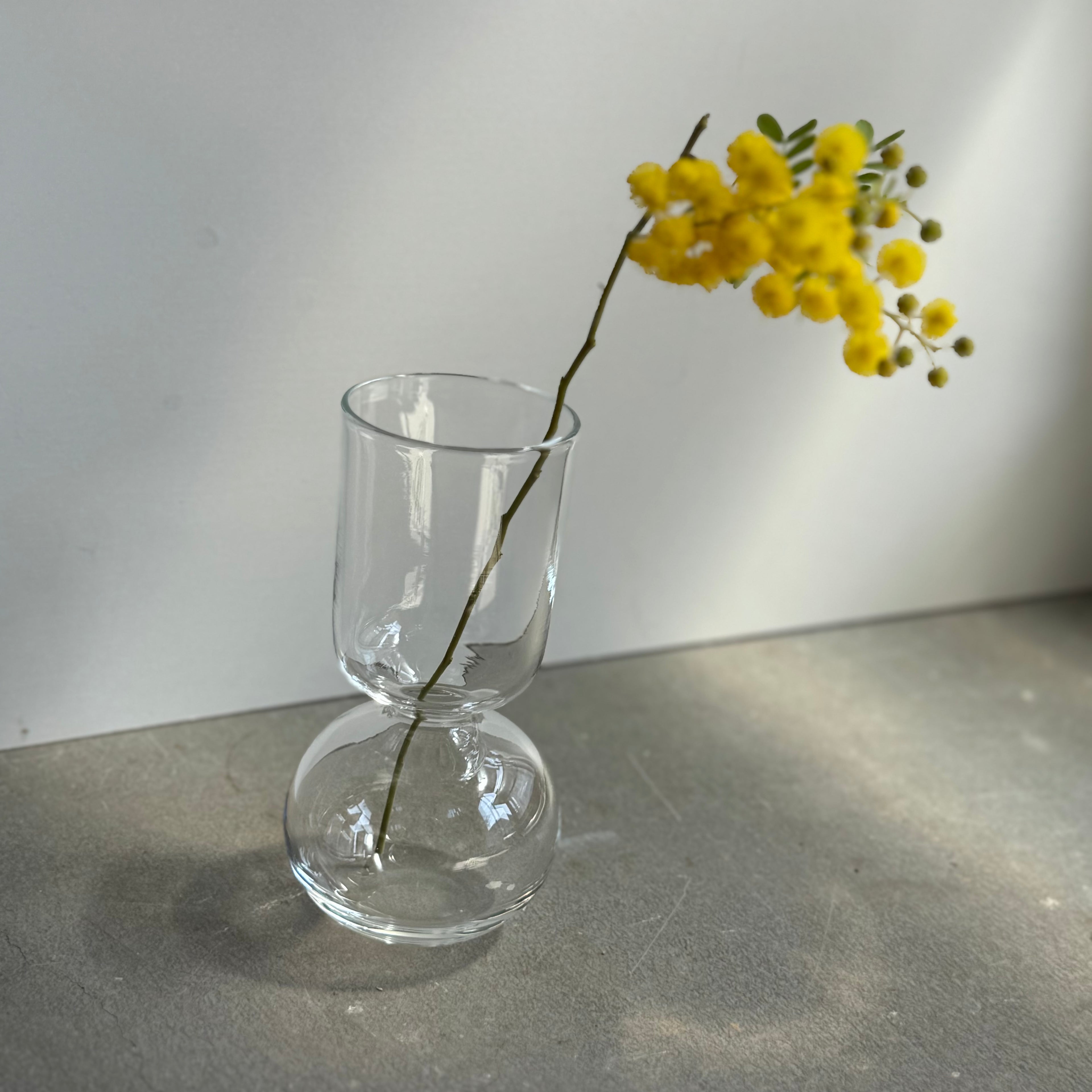 さこうゆうこ / ムスカリポットストレートc