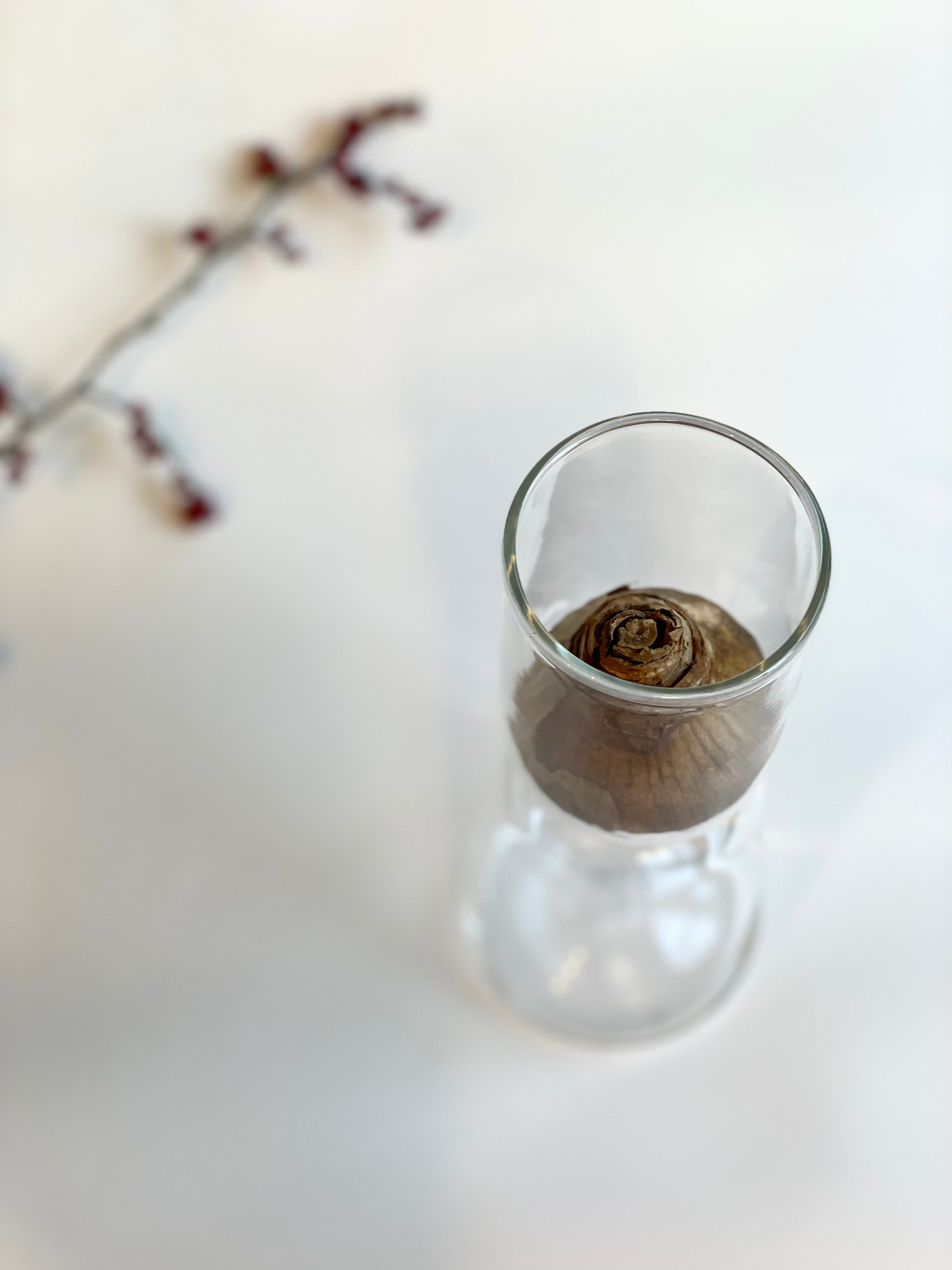 スイセンポット1