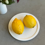 齋藤十郎 白磁リム５寸皿