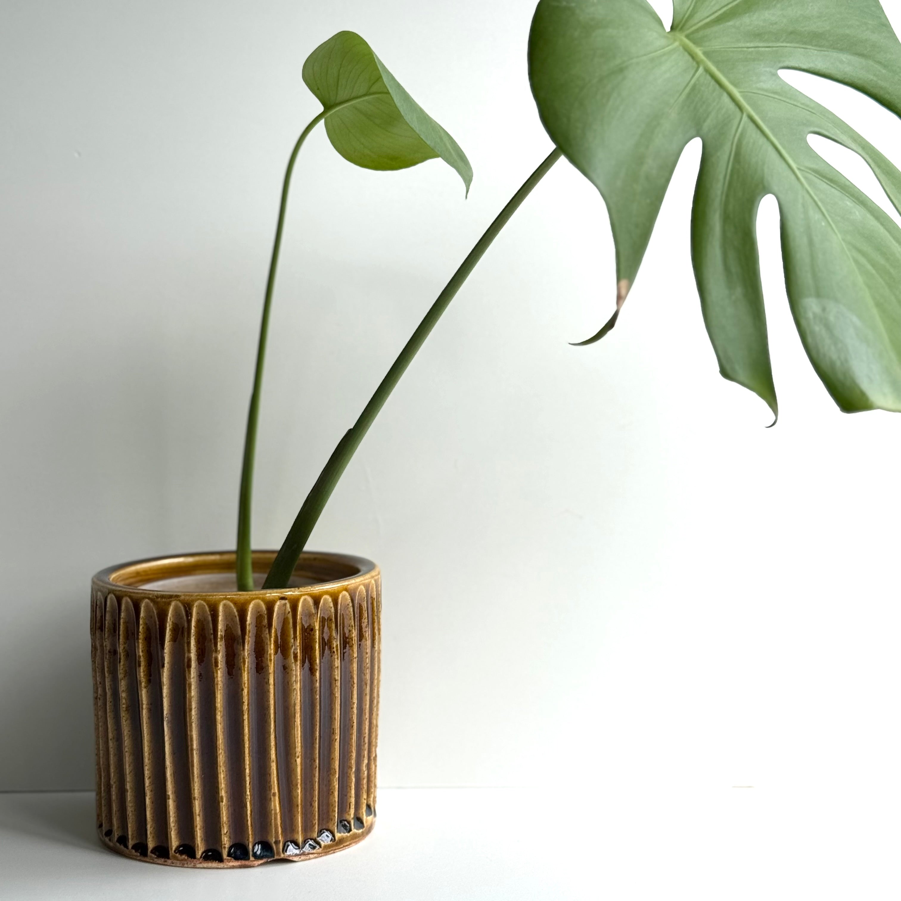 しのぎ鉢カバー(飴色)