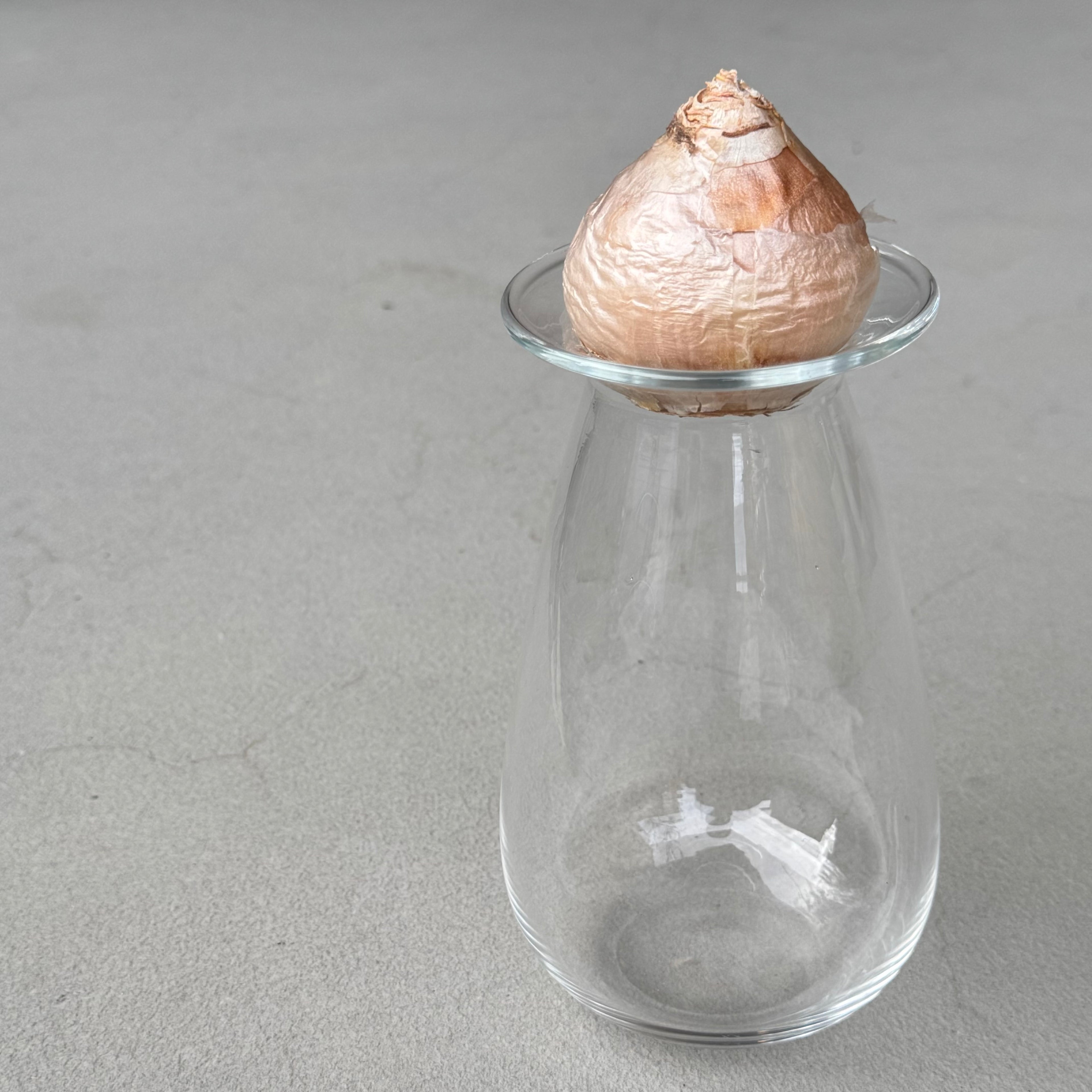 さこうゆうこ / ヒヤシンスポット/ しずく型1