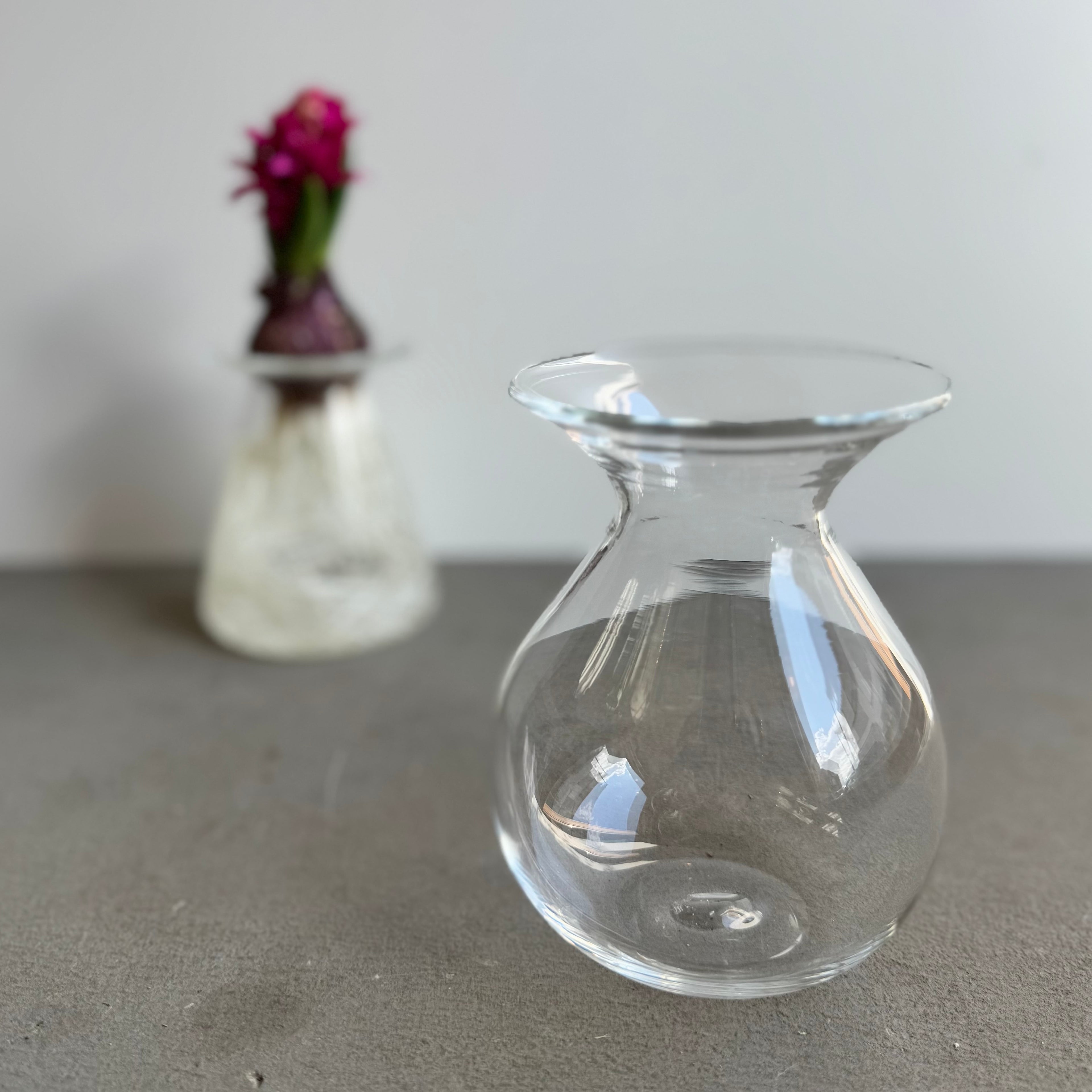 ヒヤシンスポット④