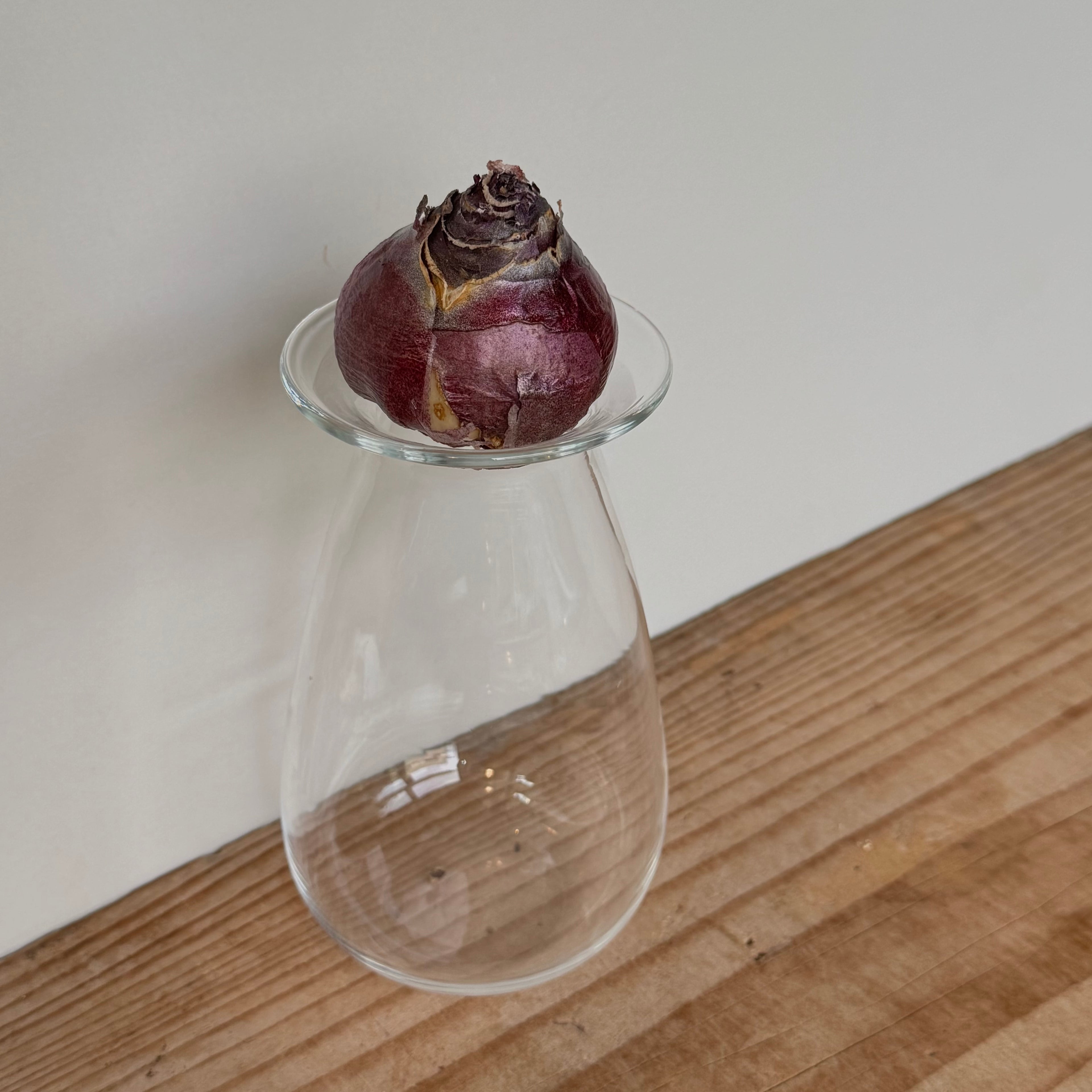 さこうゆうこ / ヒヤシンスポット/ しずく型1