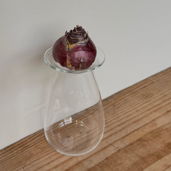 さこうゆうこ / ヒヤシンスポット/ しずく型1