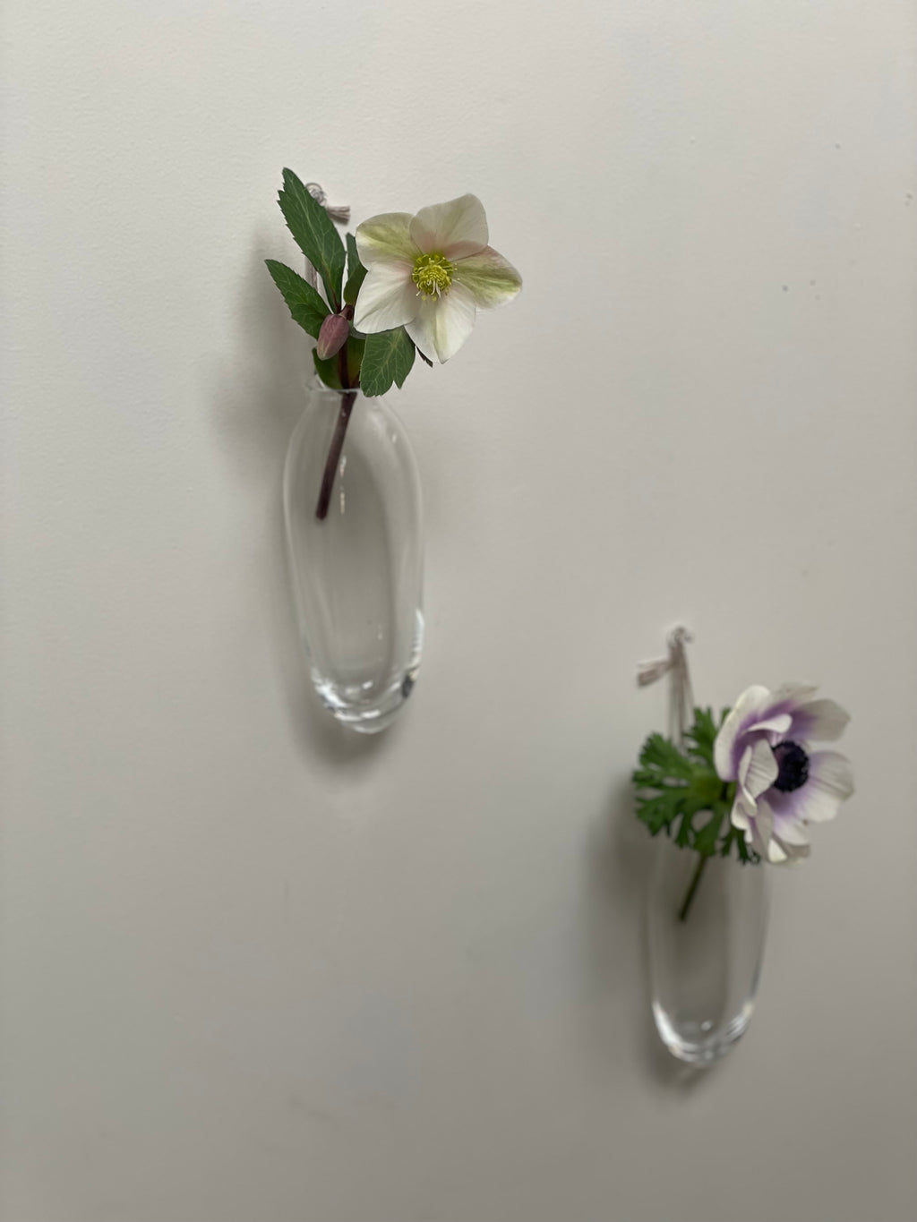 カケハナイレ(繭 / ロング)