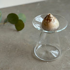 ヒヤシンスポット③