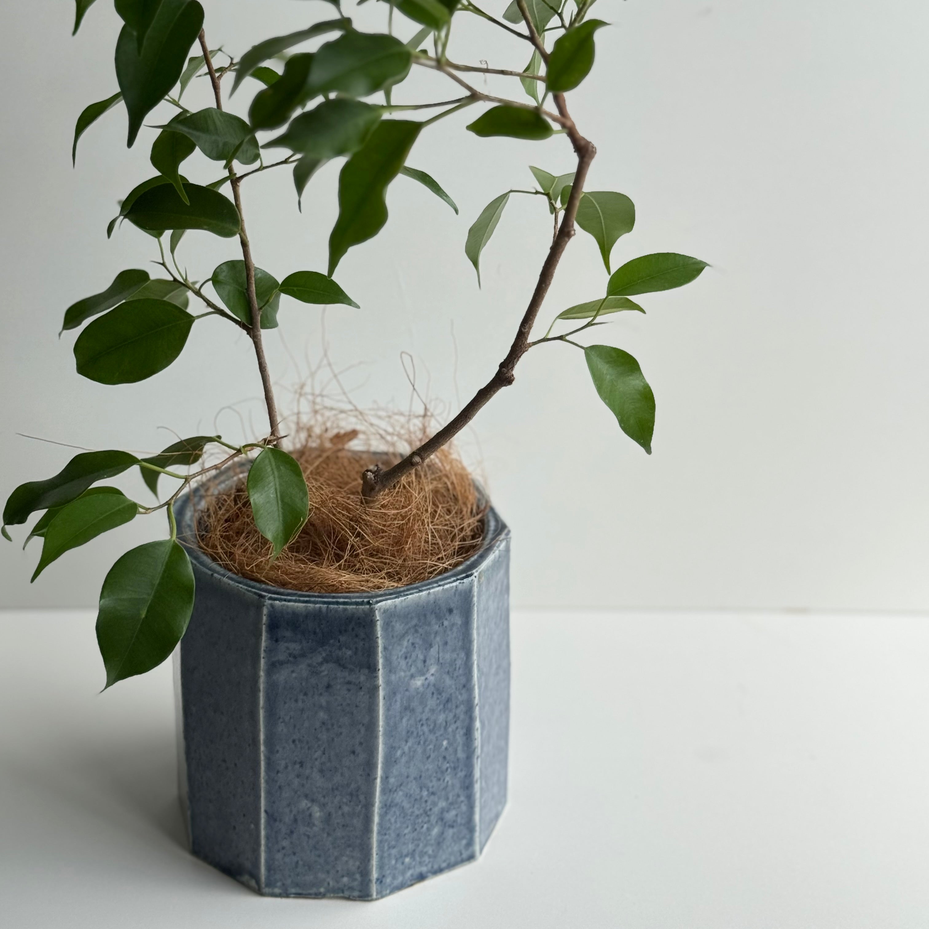 面取り鉢カバー(ゴス色)