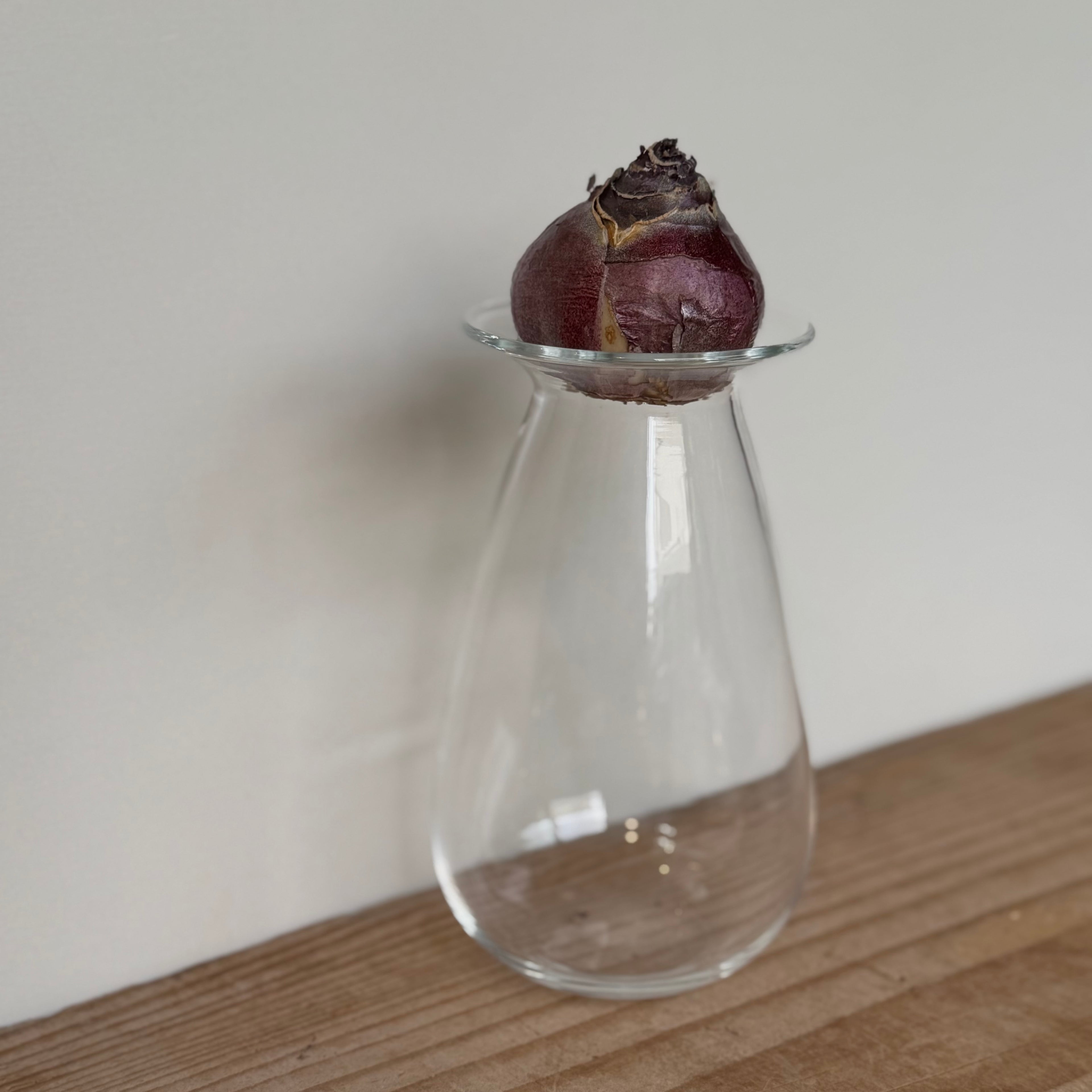 さこうゆうこ / ヒヤシンスポット/ しずく型1