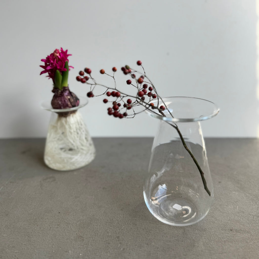 ヒヤシンスポット①