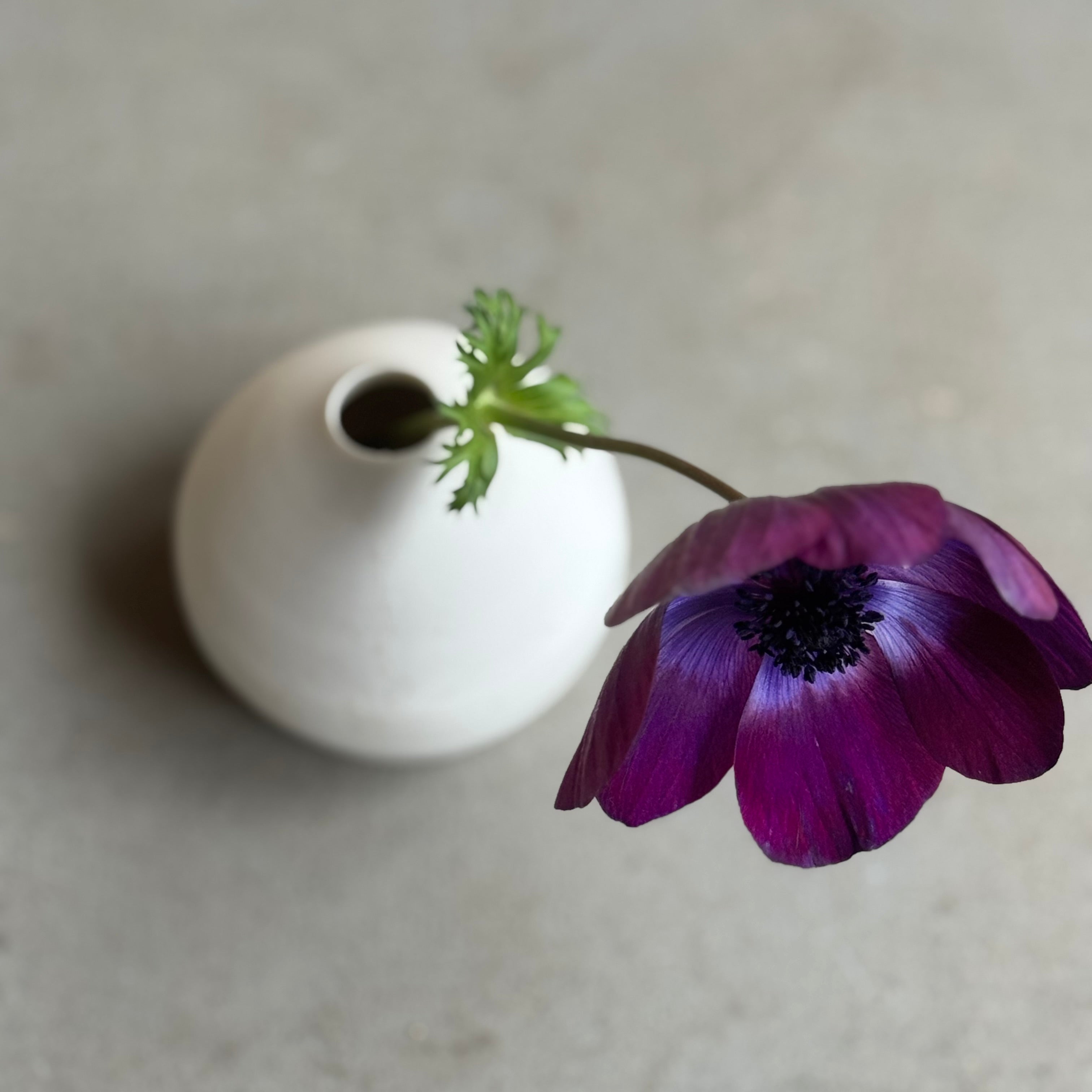 齊藤十郎 (JP pottery) 齊藤じゅうろう ｜器・生活道具ー日和