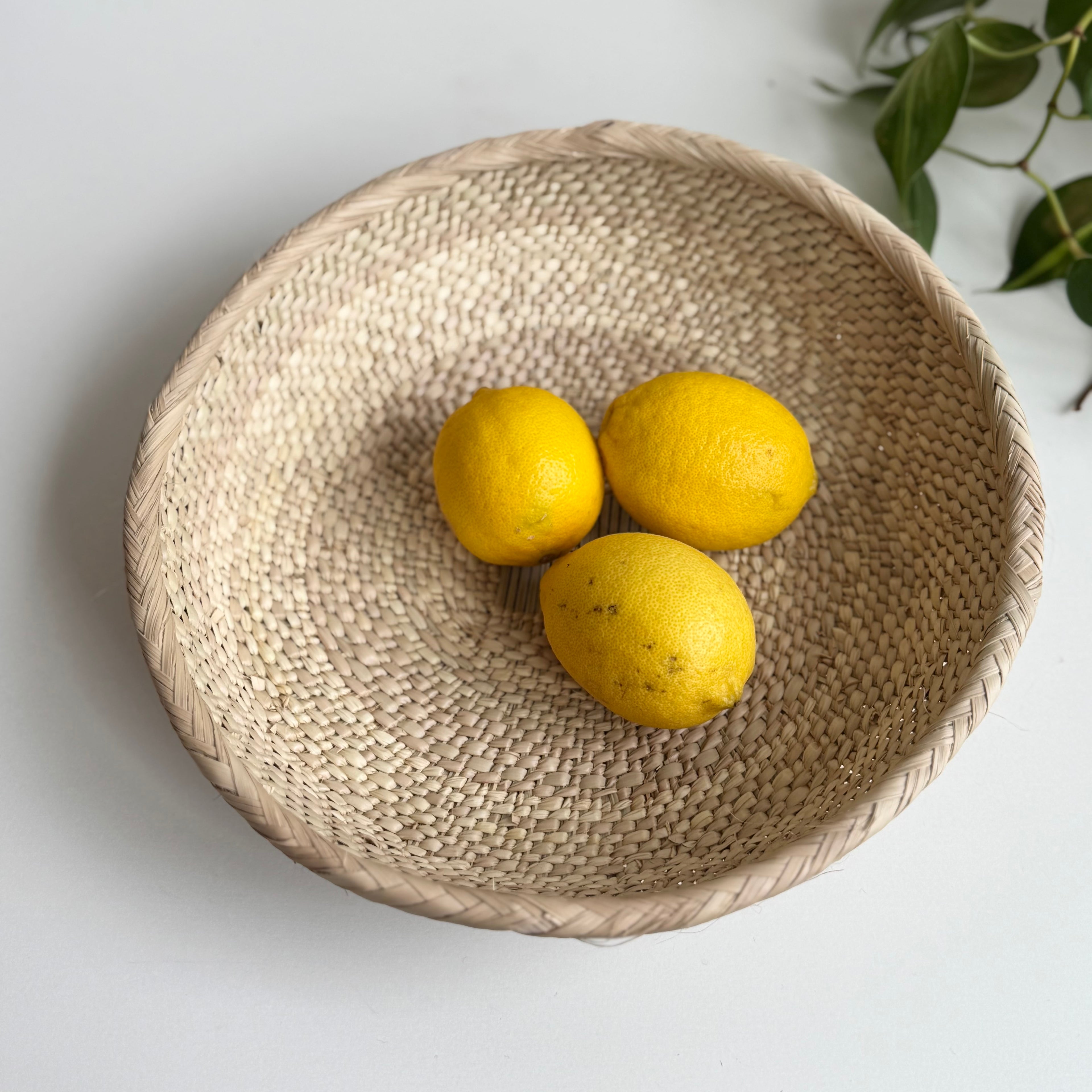 トンガビンボウルかご(生成・S）