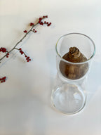 スイセンポット2