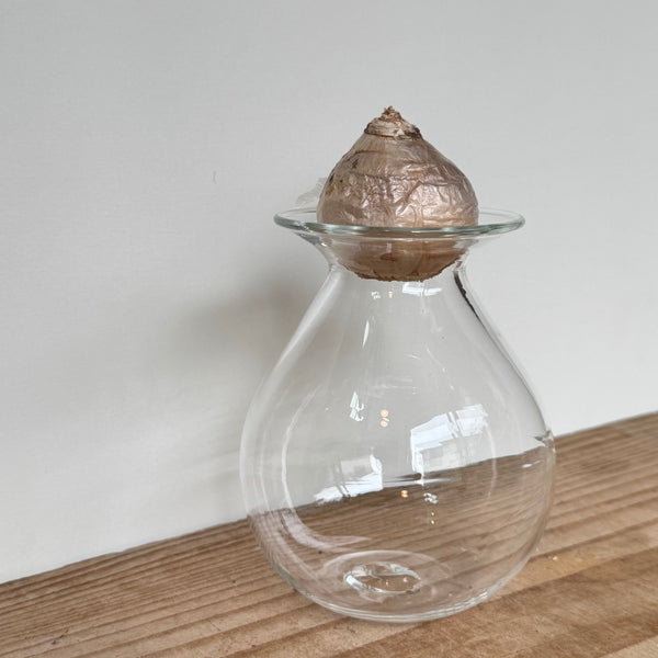 さこうゆうこ / ヒヤシンスポット/ 丸型3