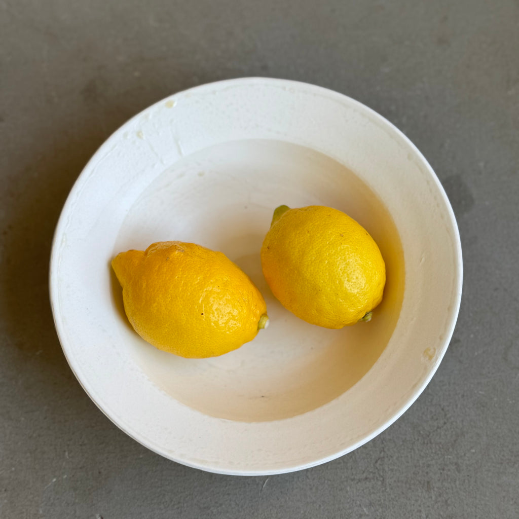 齋藤十郎 白磁７寸リム鉢