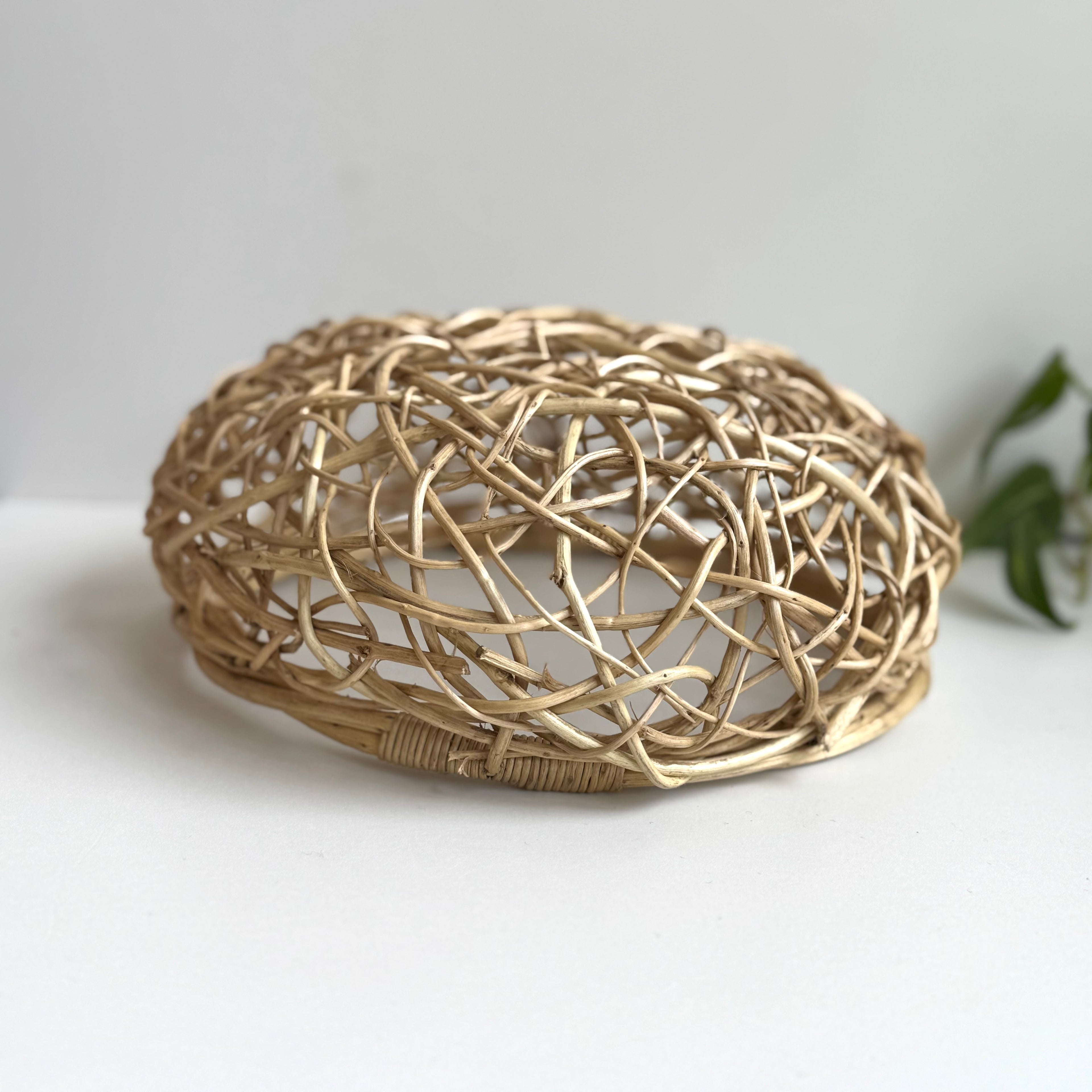 タティンガもつれバスケット(中)