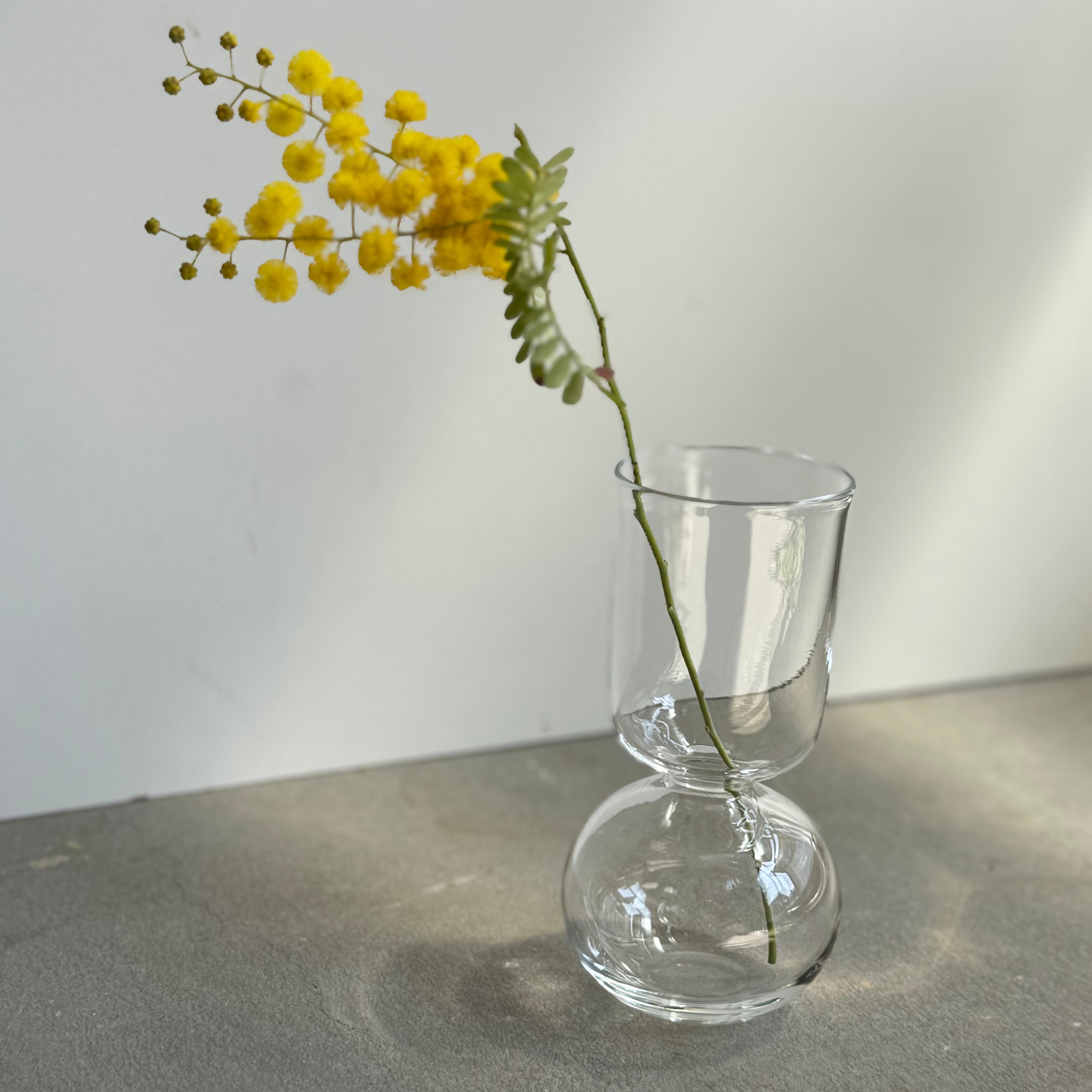 さこうゆうこ / ムスカリポットストレートb