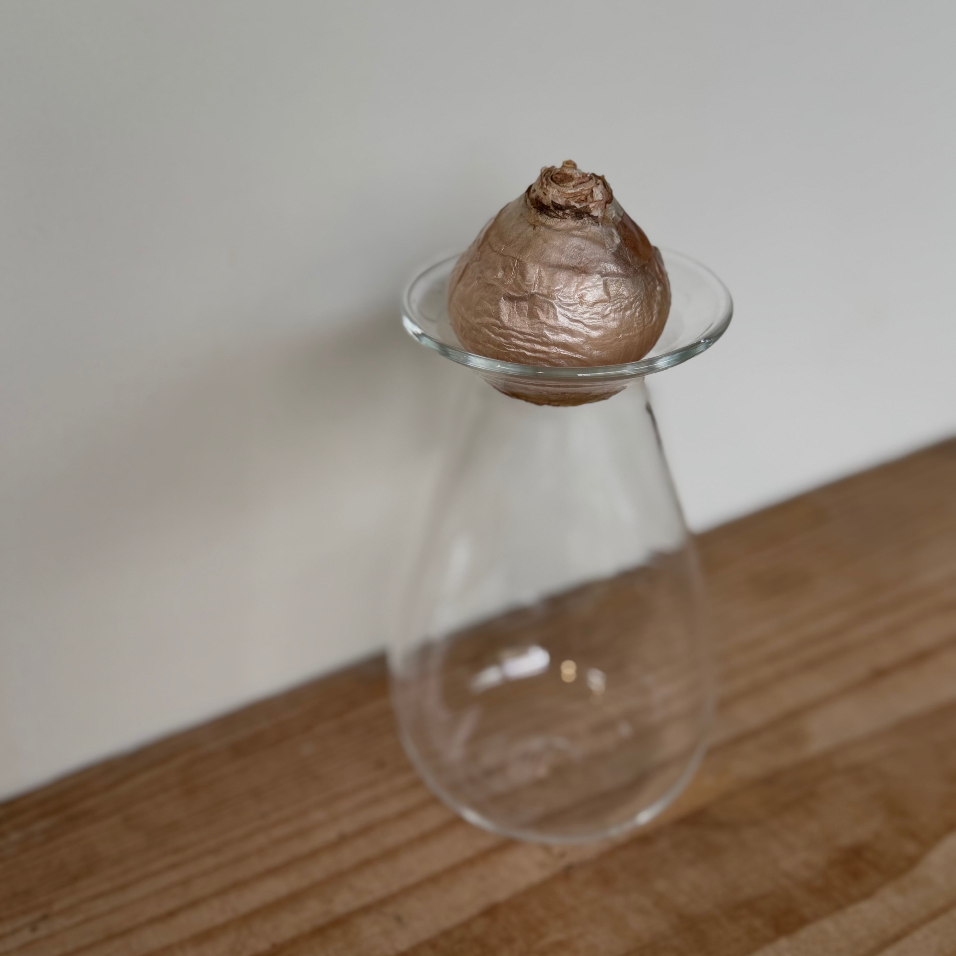 さこうゆうこ / ヒヤシンスポット/ しずく型2