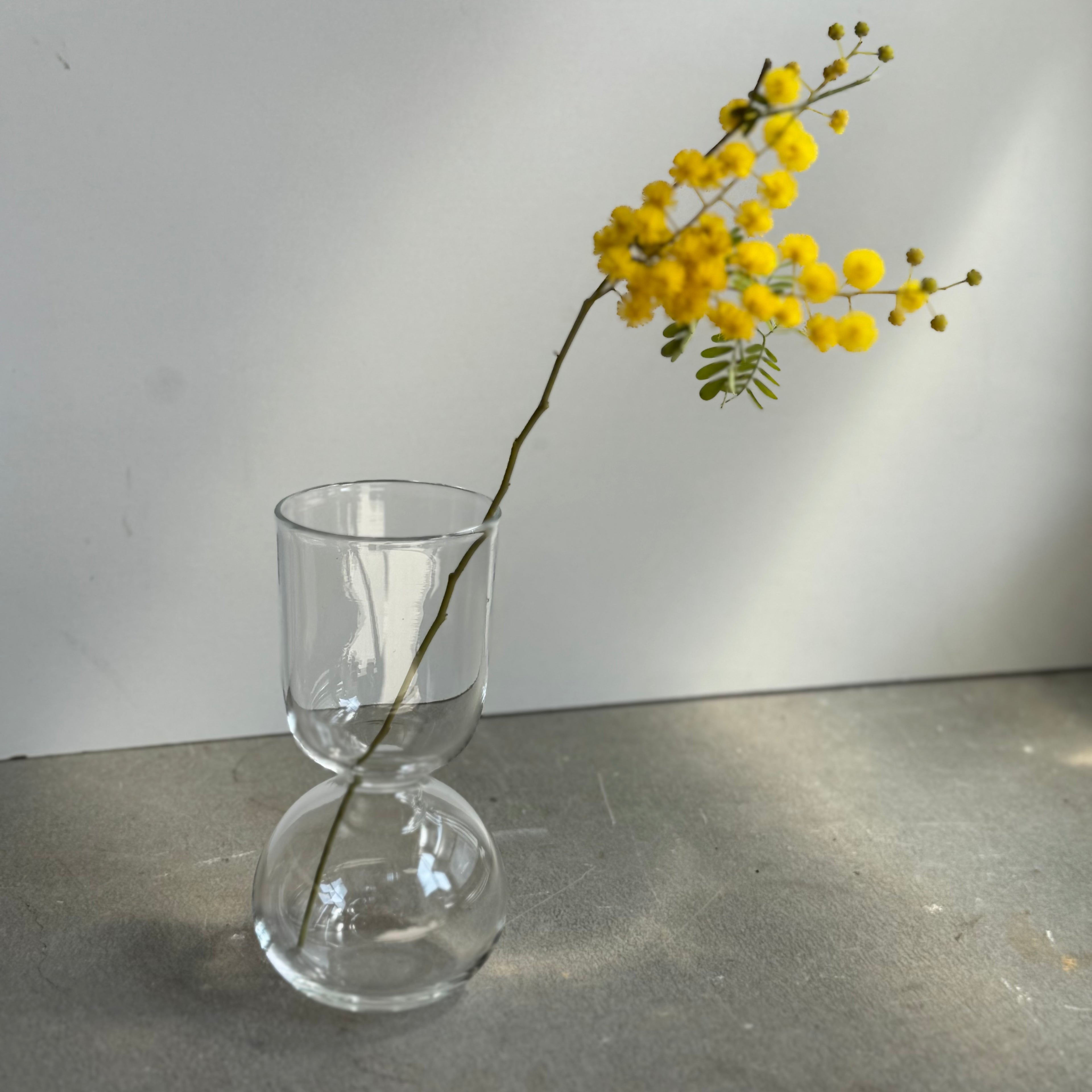 さこうゆうこ / ムスカリポットストレートa