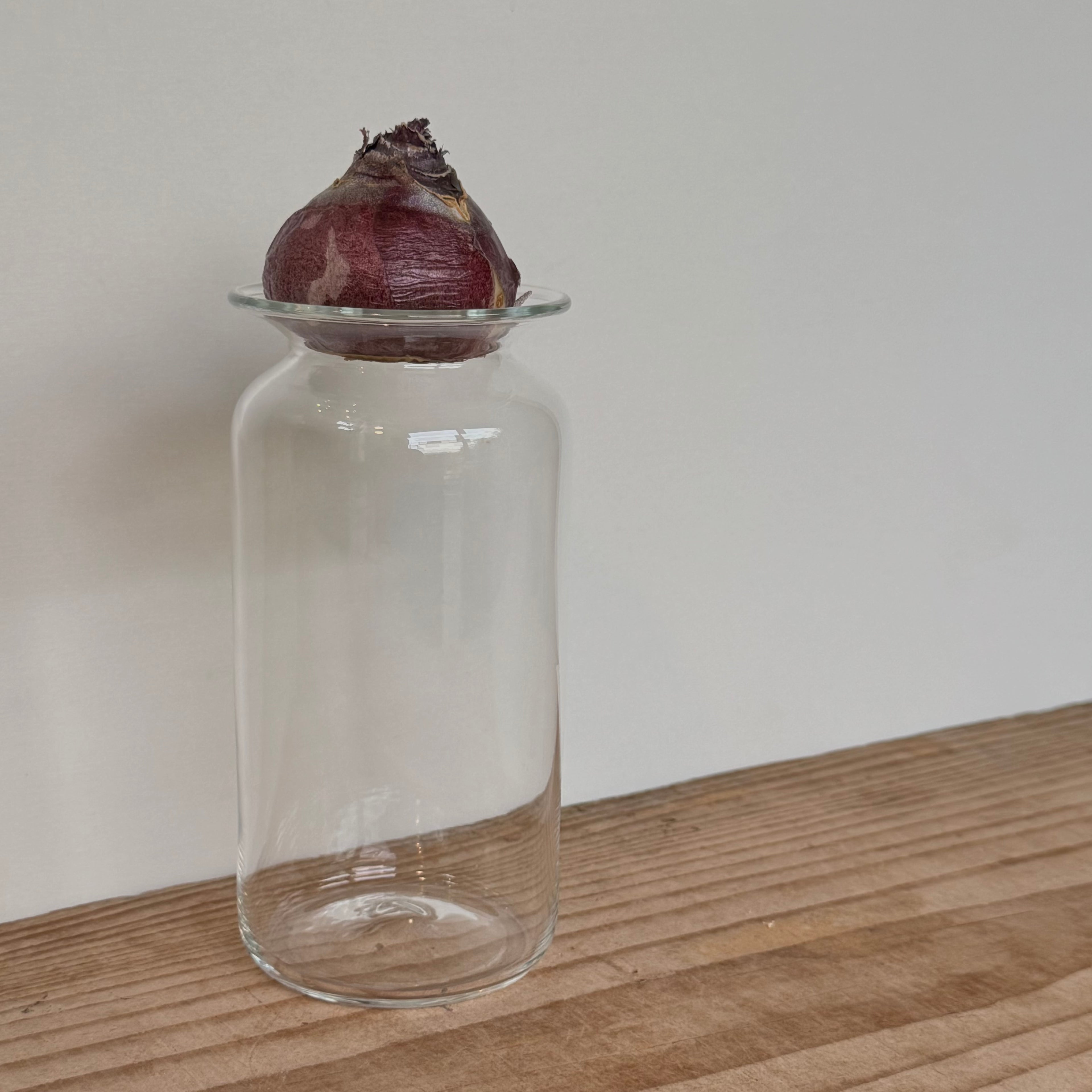 さこうゆうこ / ヒヤシンスポット/ ストレート1