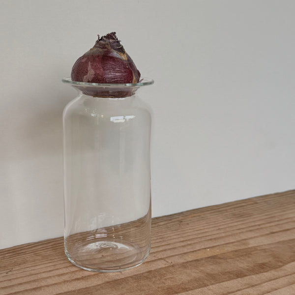 さこうゆうこ / ヒヤシンスポット/ ストレート1