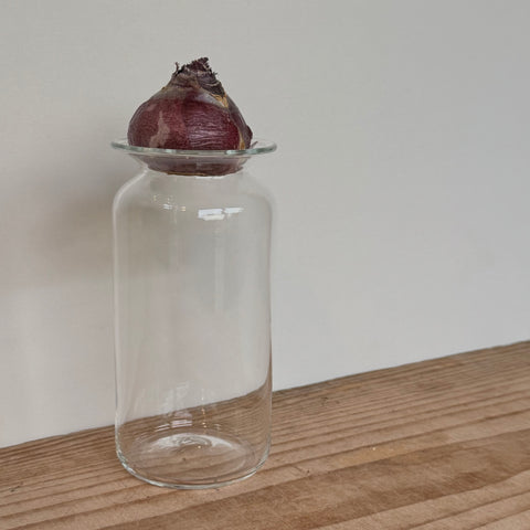 さこうゆうこ / ヒヤシンスポット/ ストレート1