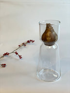 スイセンポット2