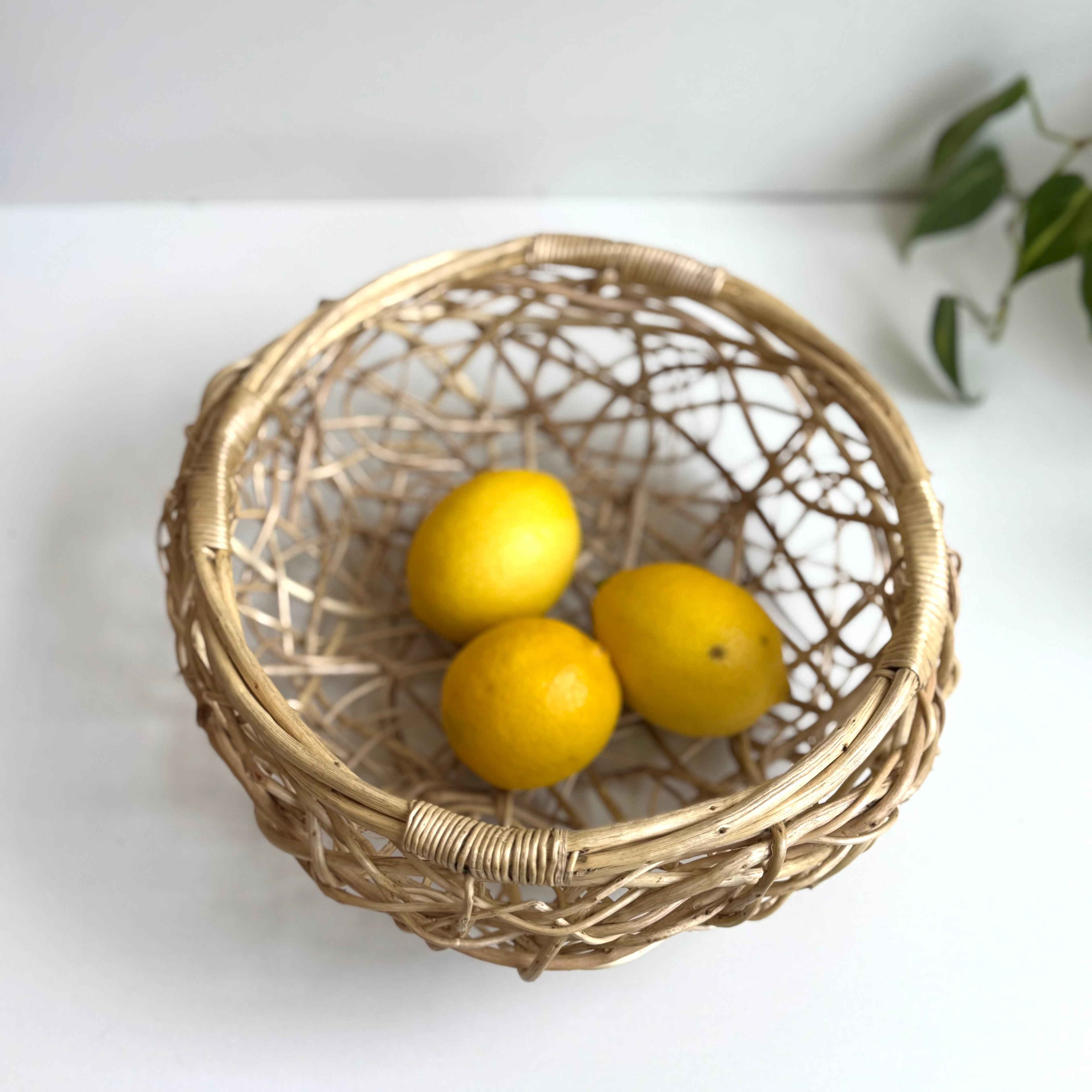 タティンガもつれバスケット(中)