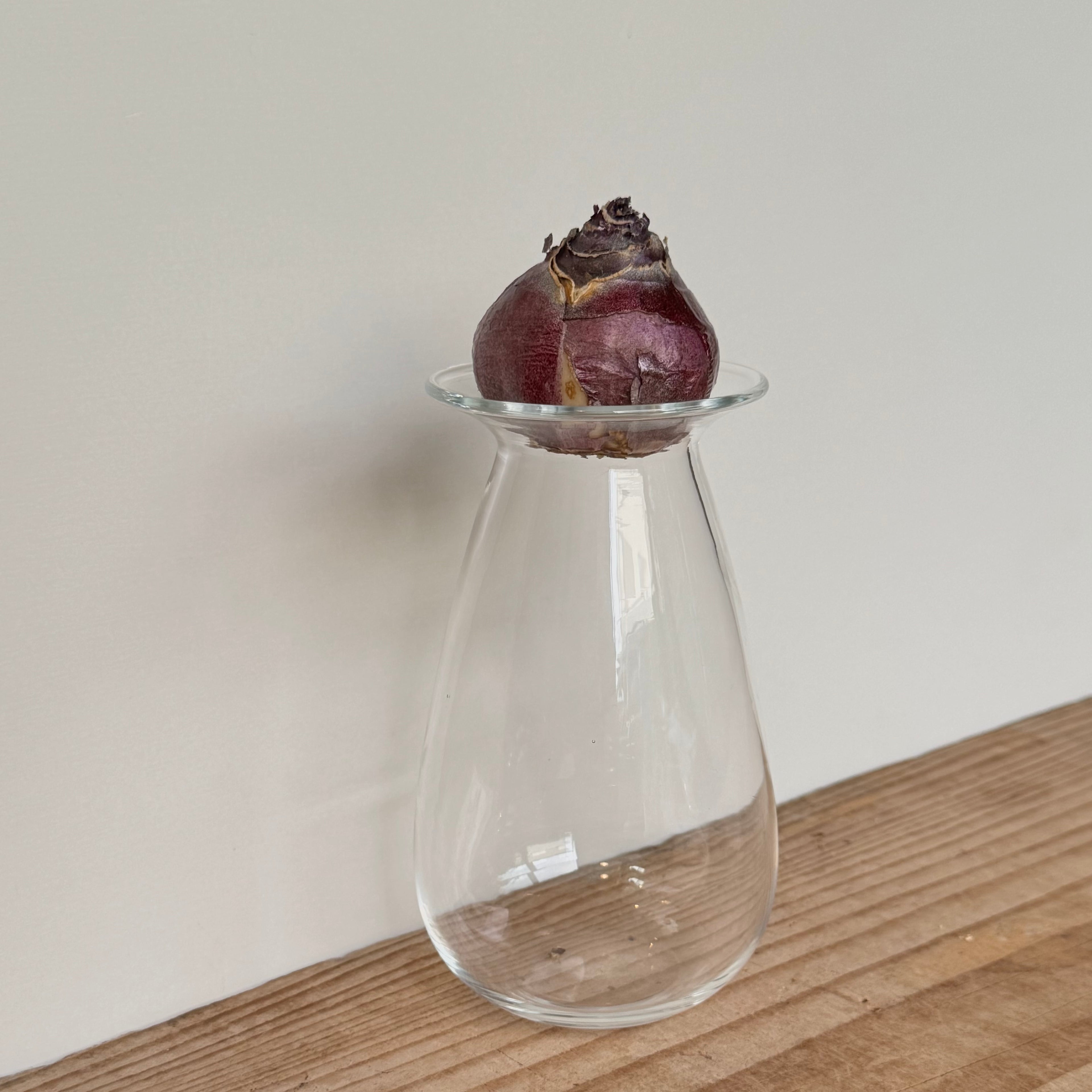 さこうゆうこ / ヒヤシンスポット/ しずく型1